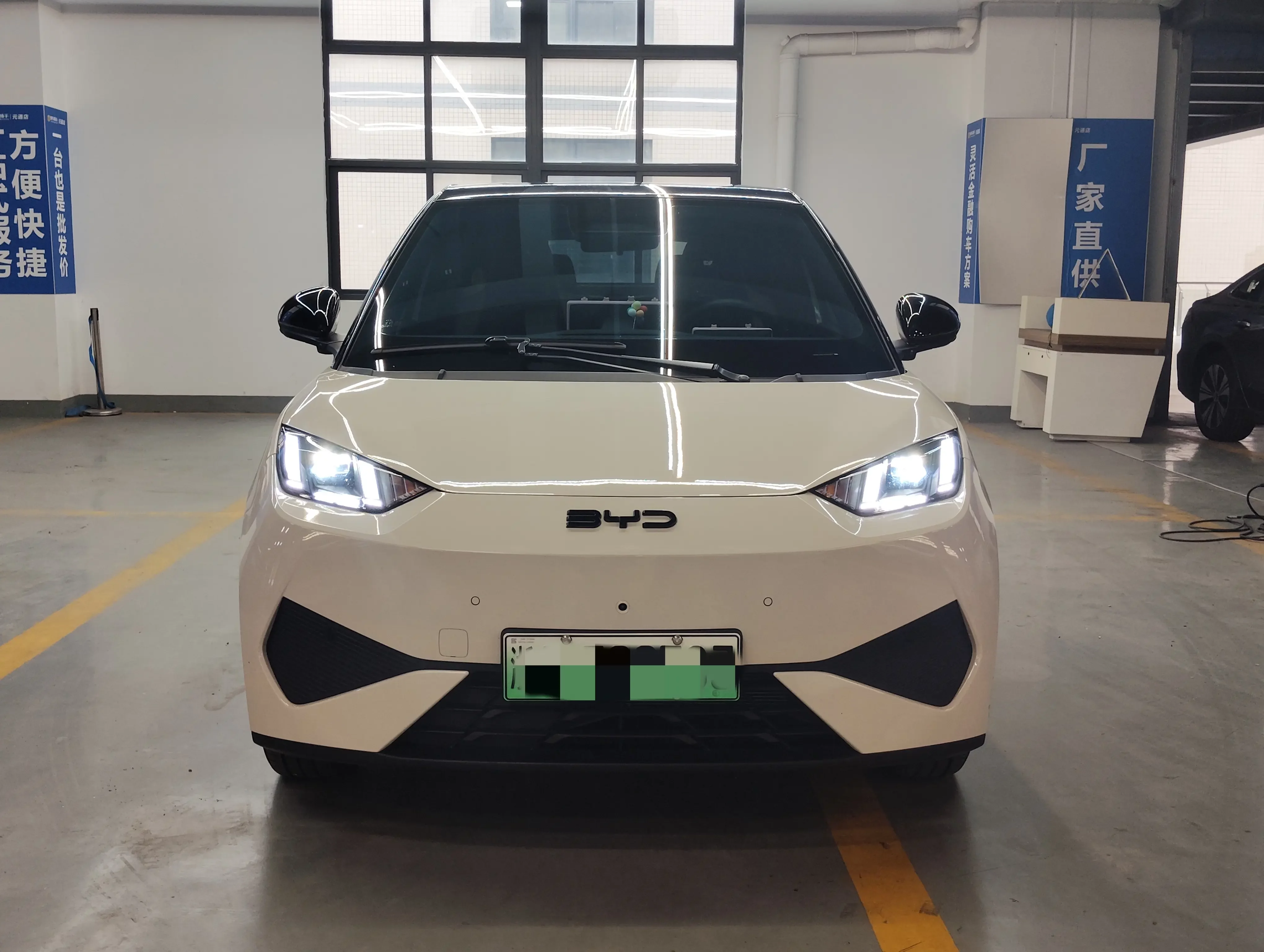 BYD seagull