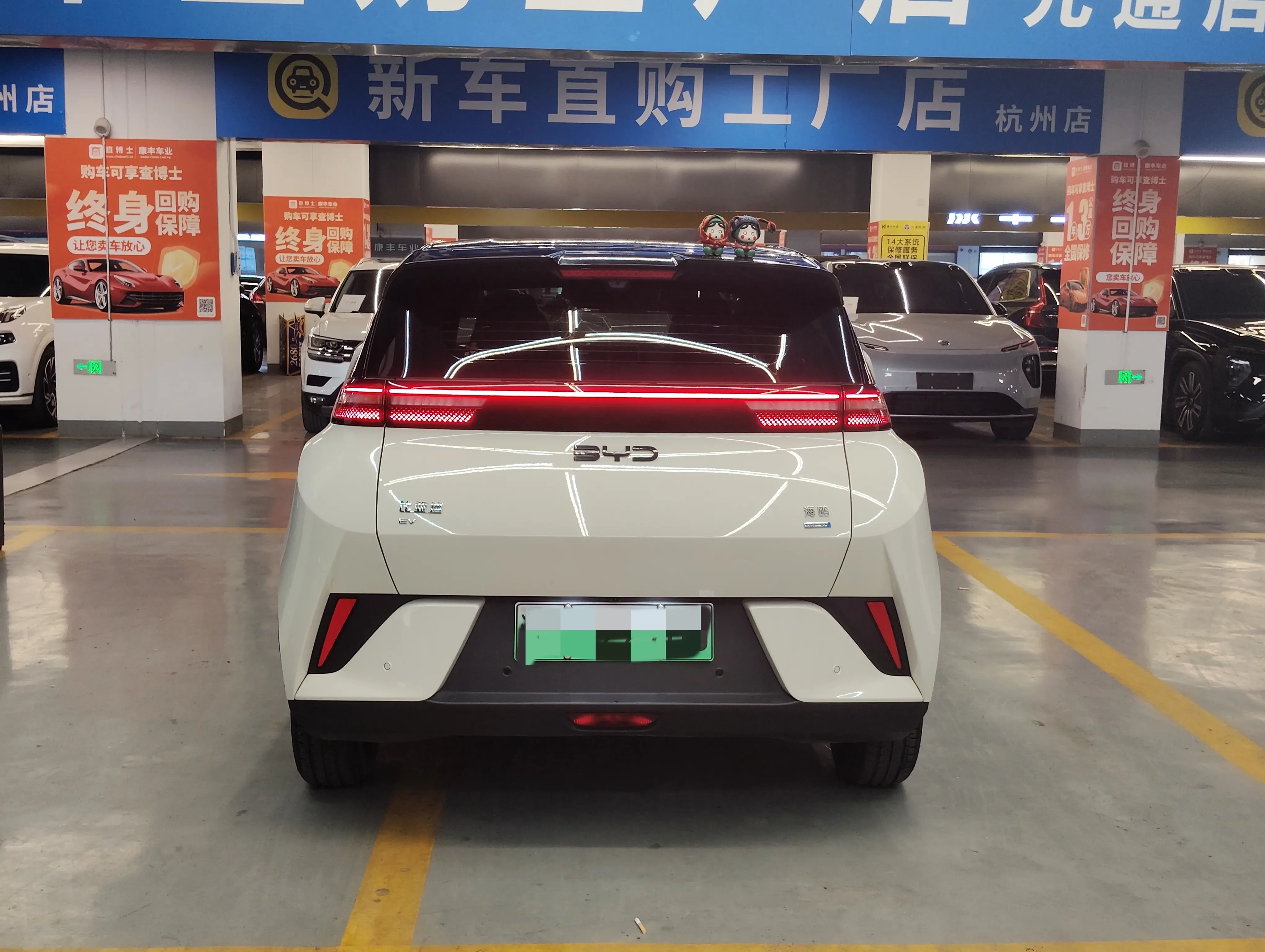 BYD seagull