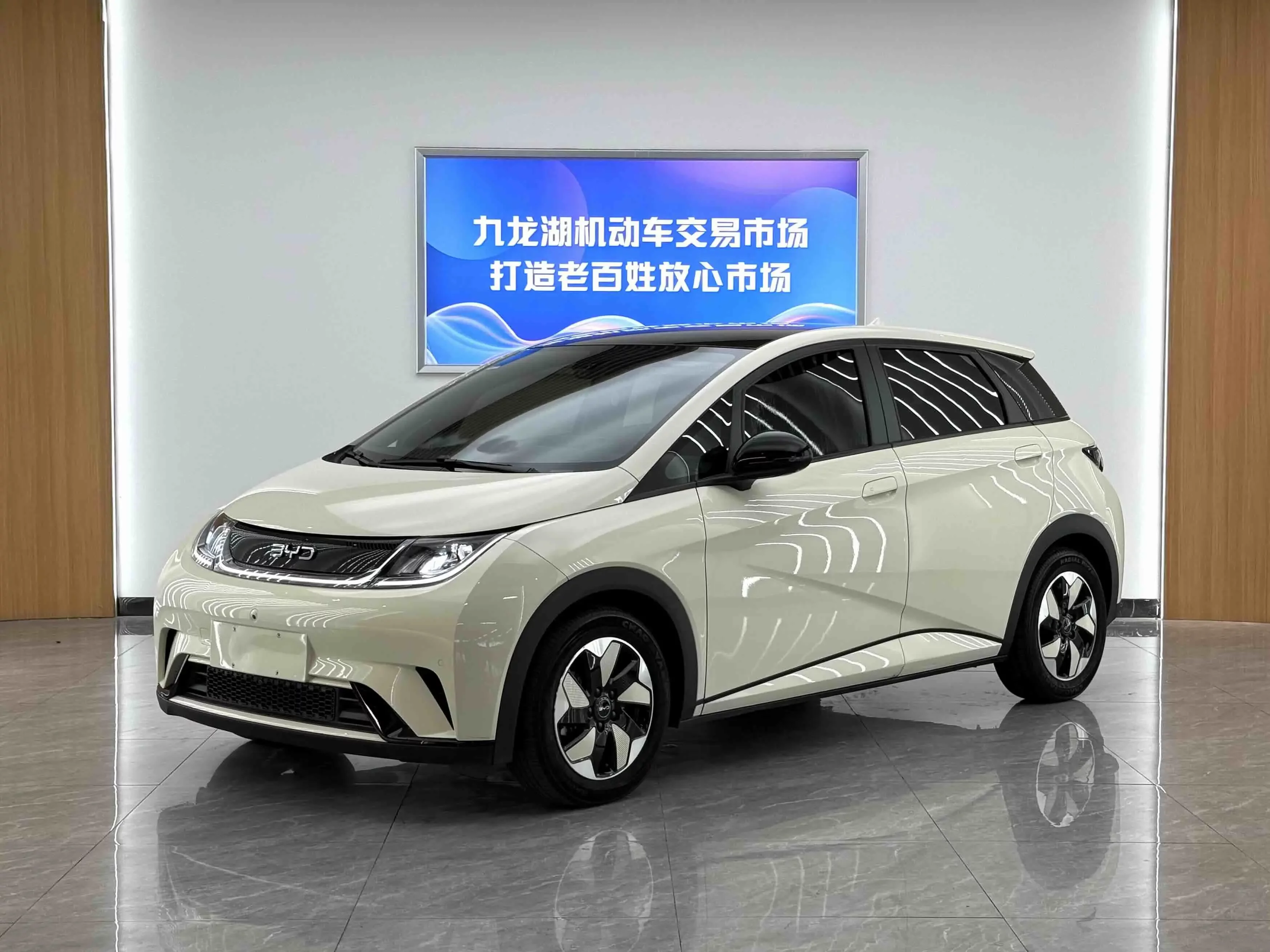 BYD dolphin