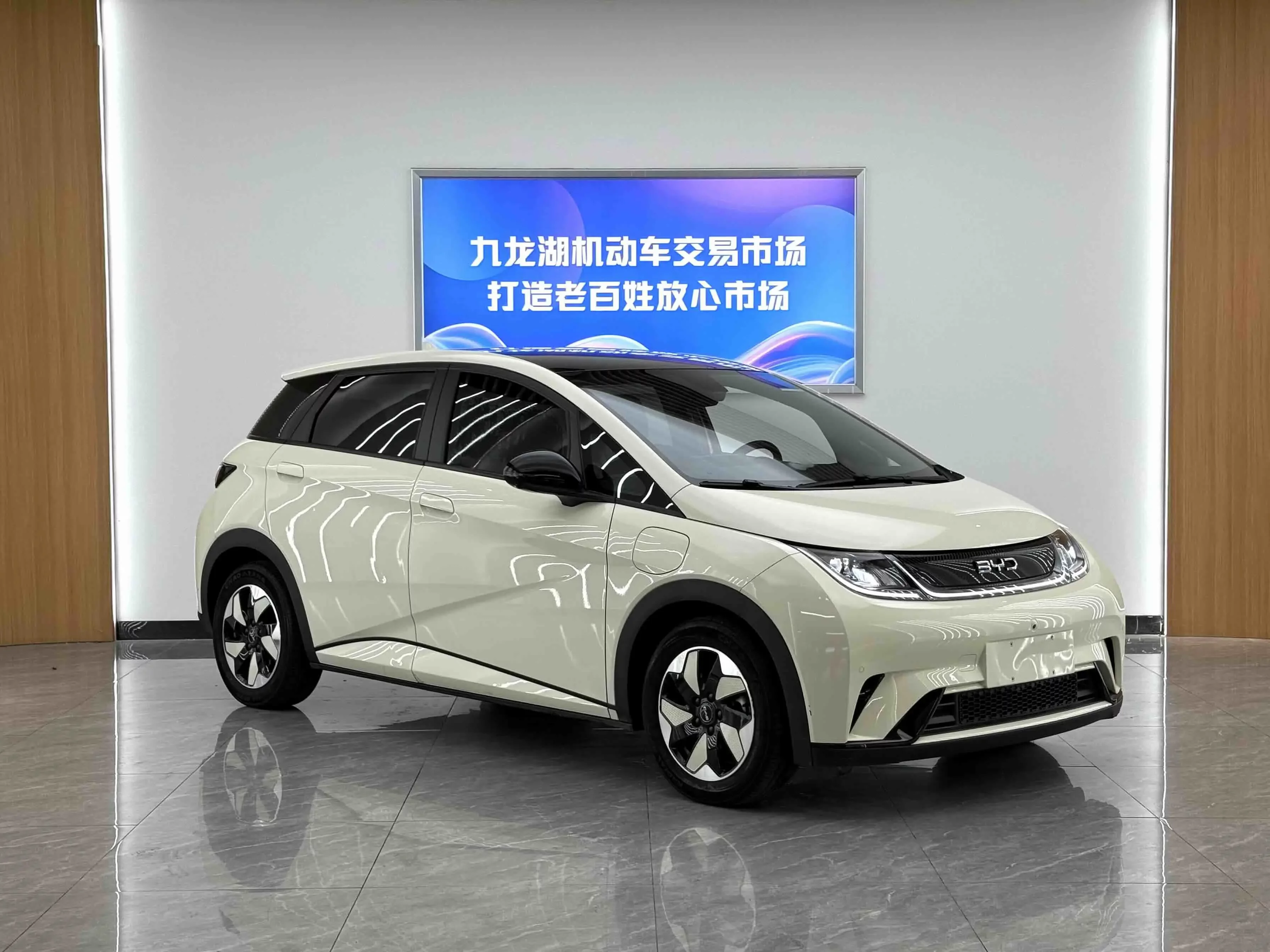 BYD dolphin