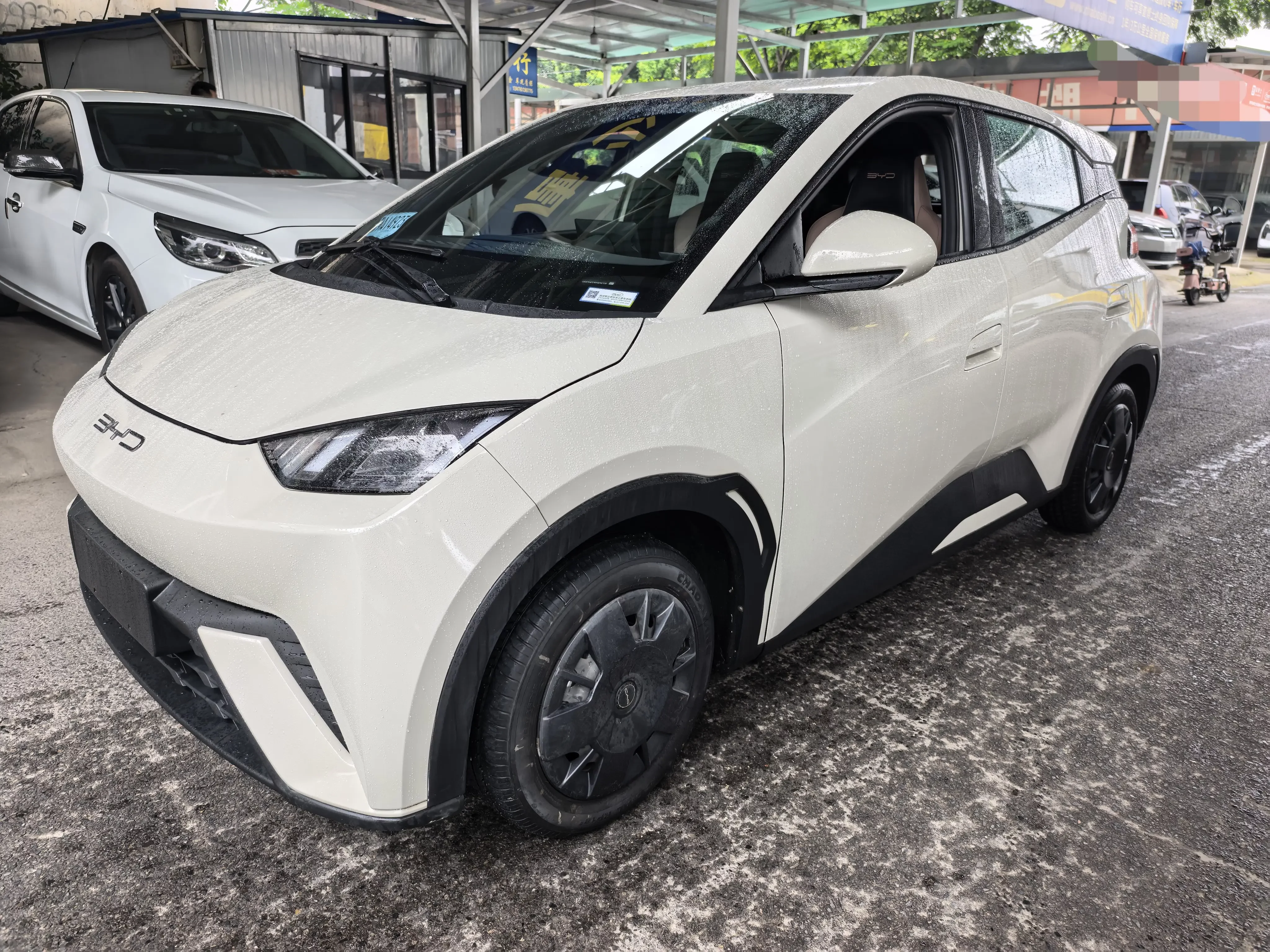 BYD seagull