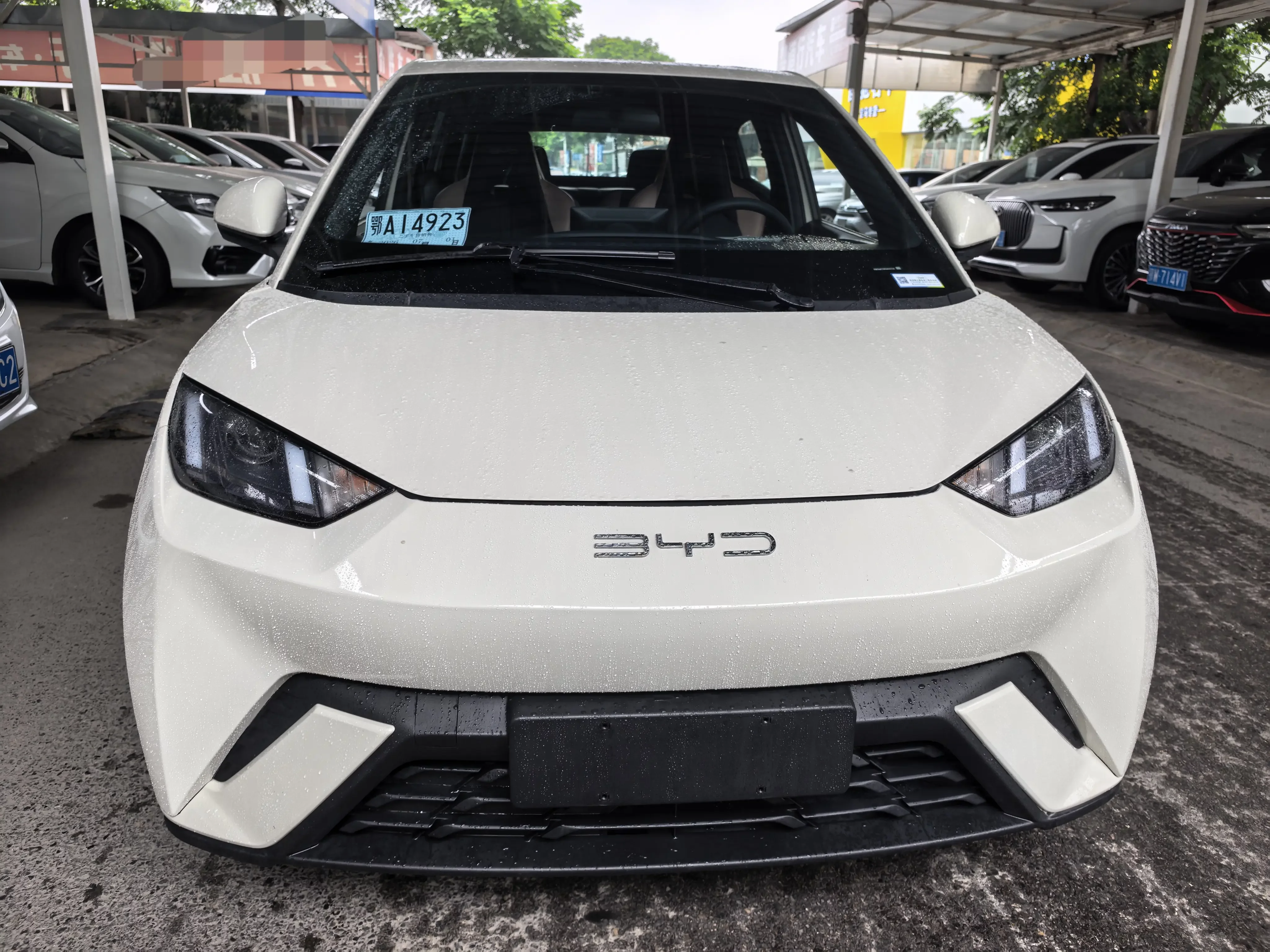 BYD seagull
