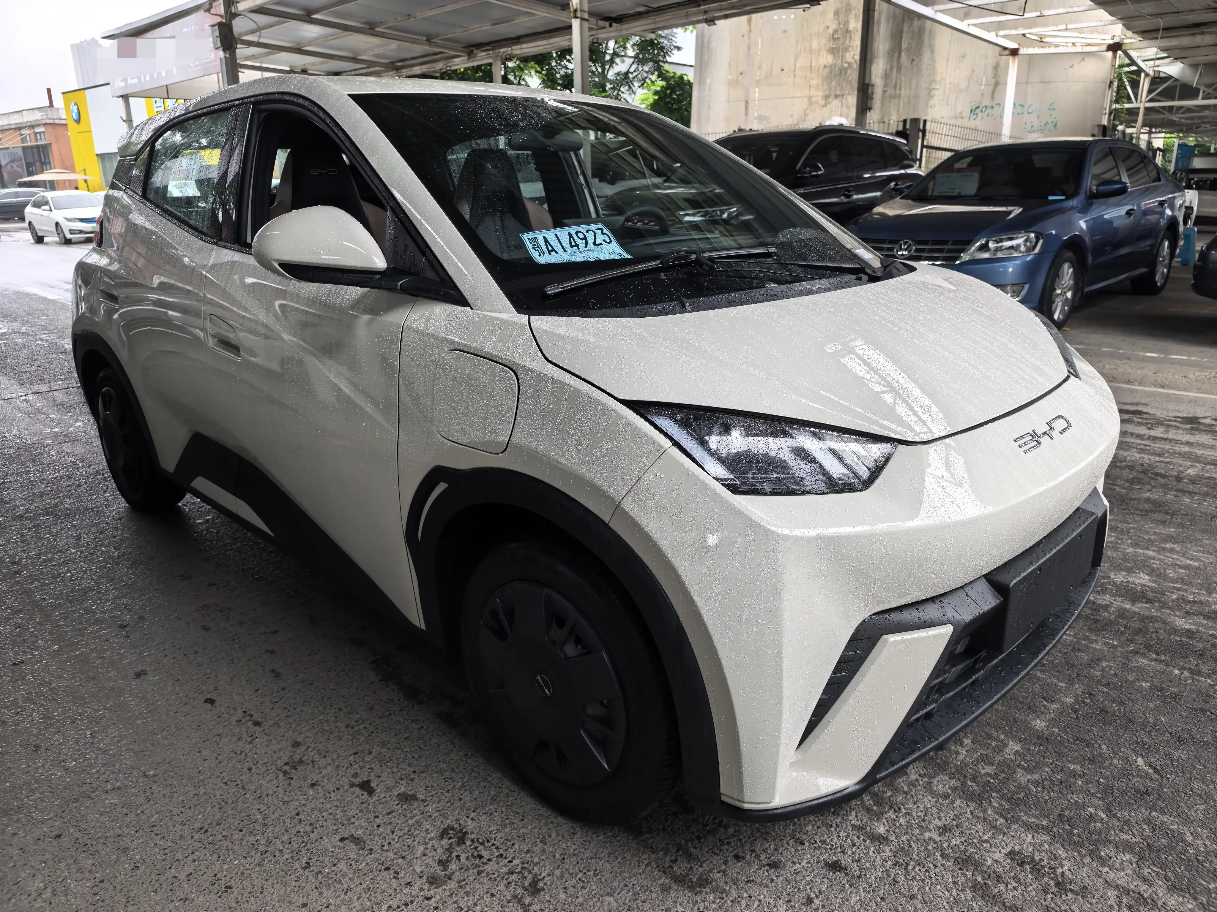 BYD seagull