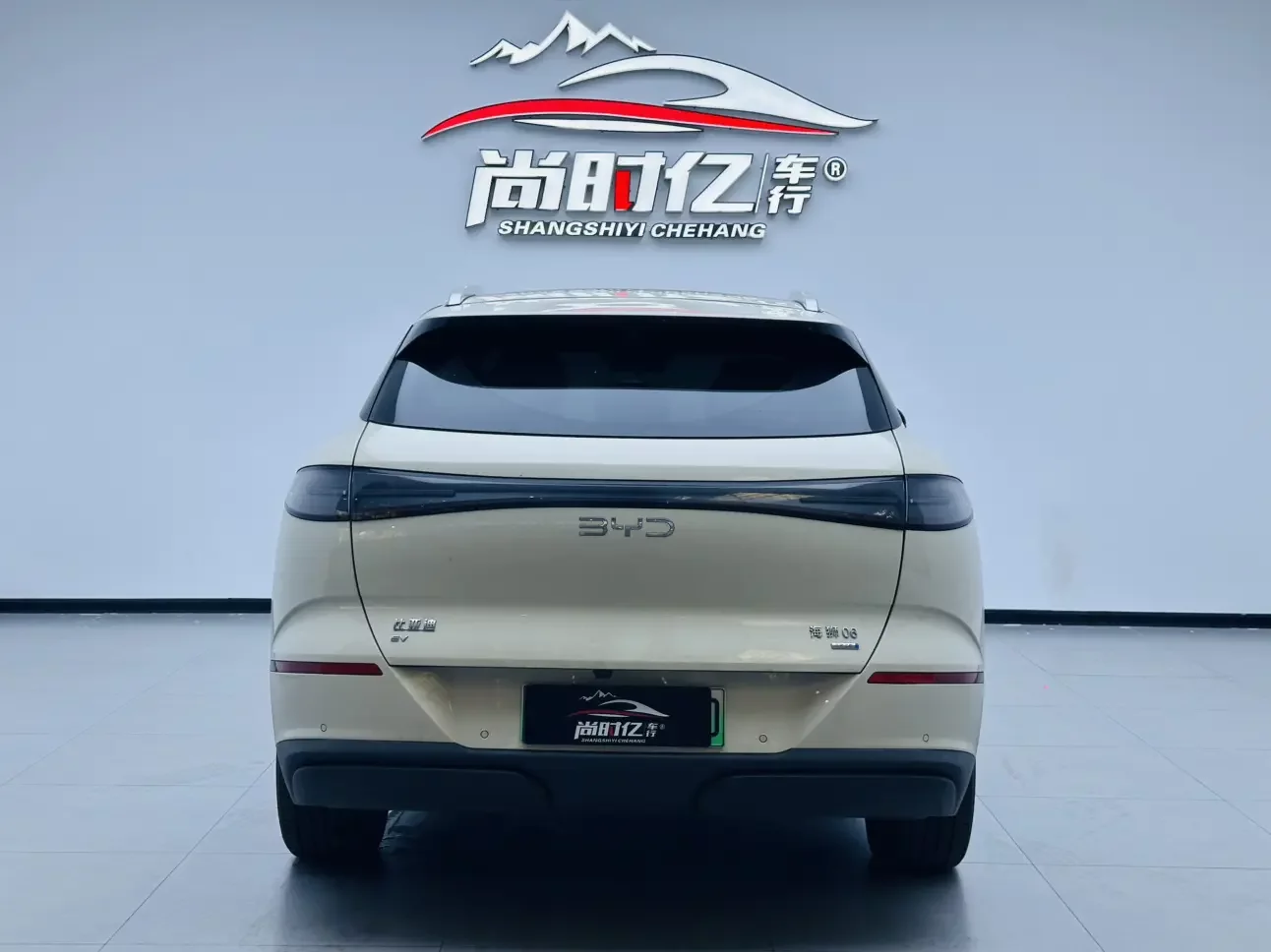 BYD Sea Lion 06EV