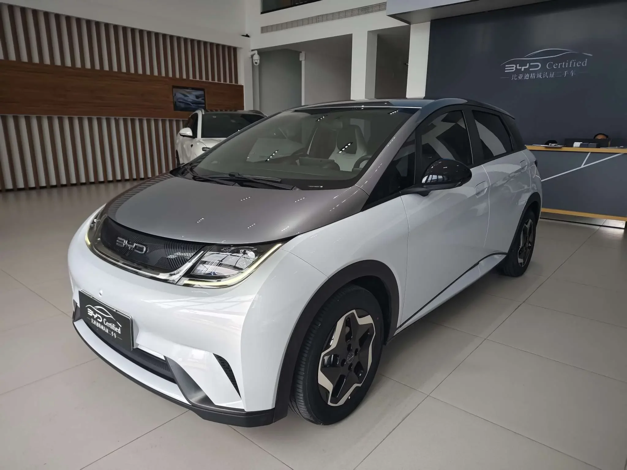 BYD dolphin