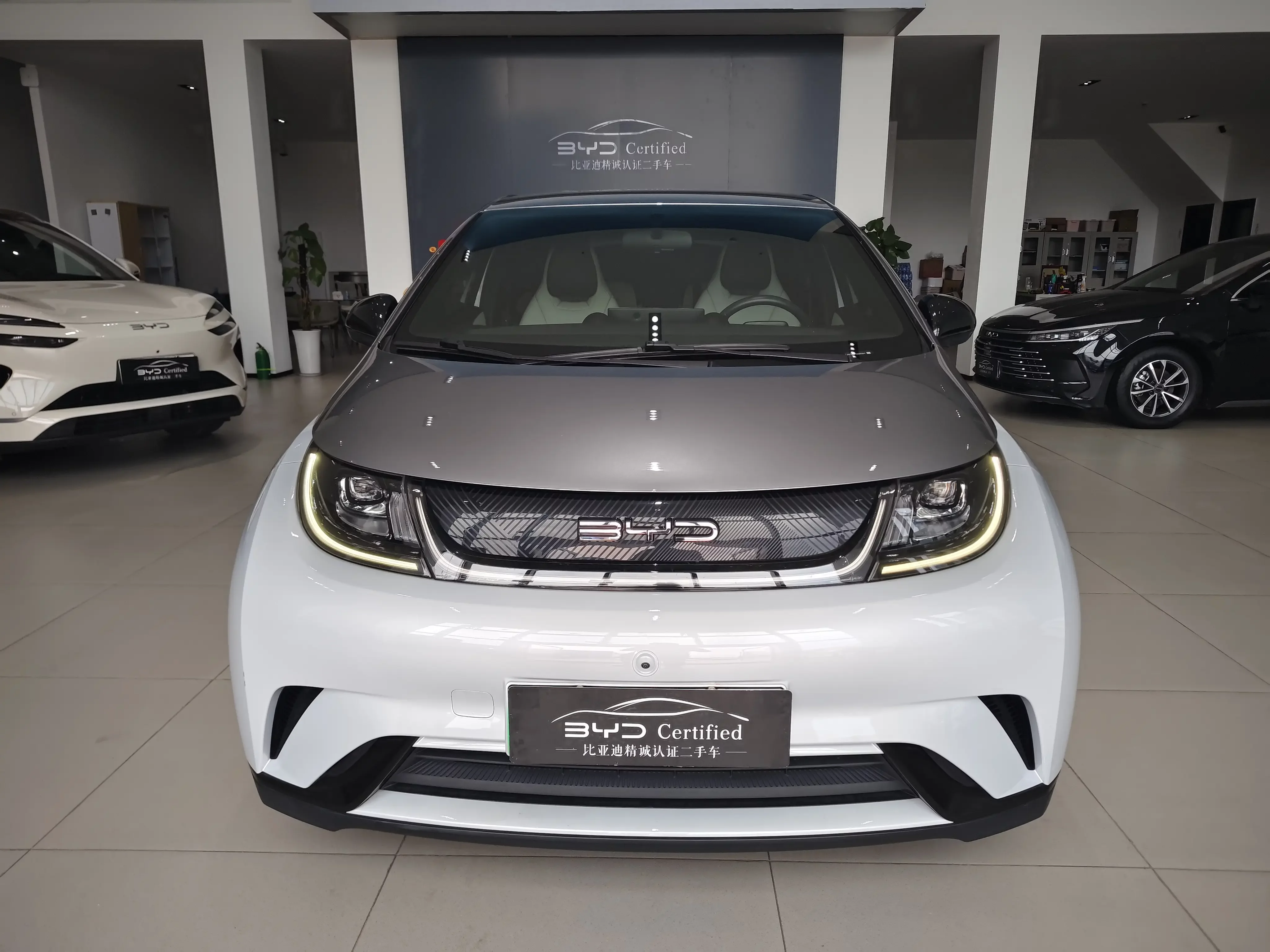 BYD dolphin