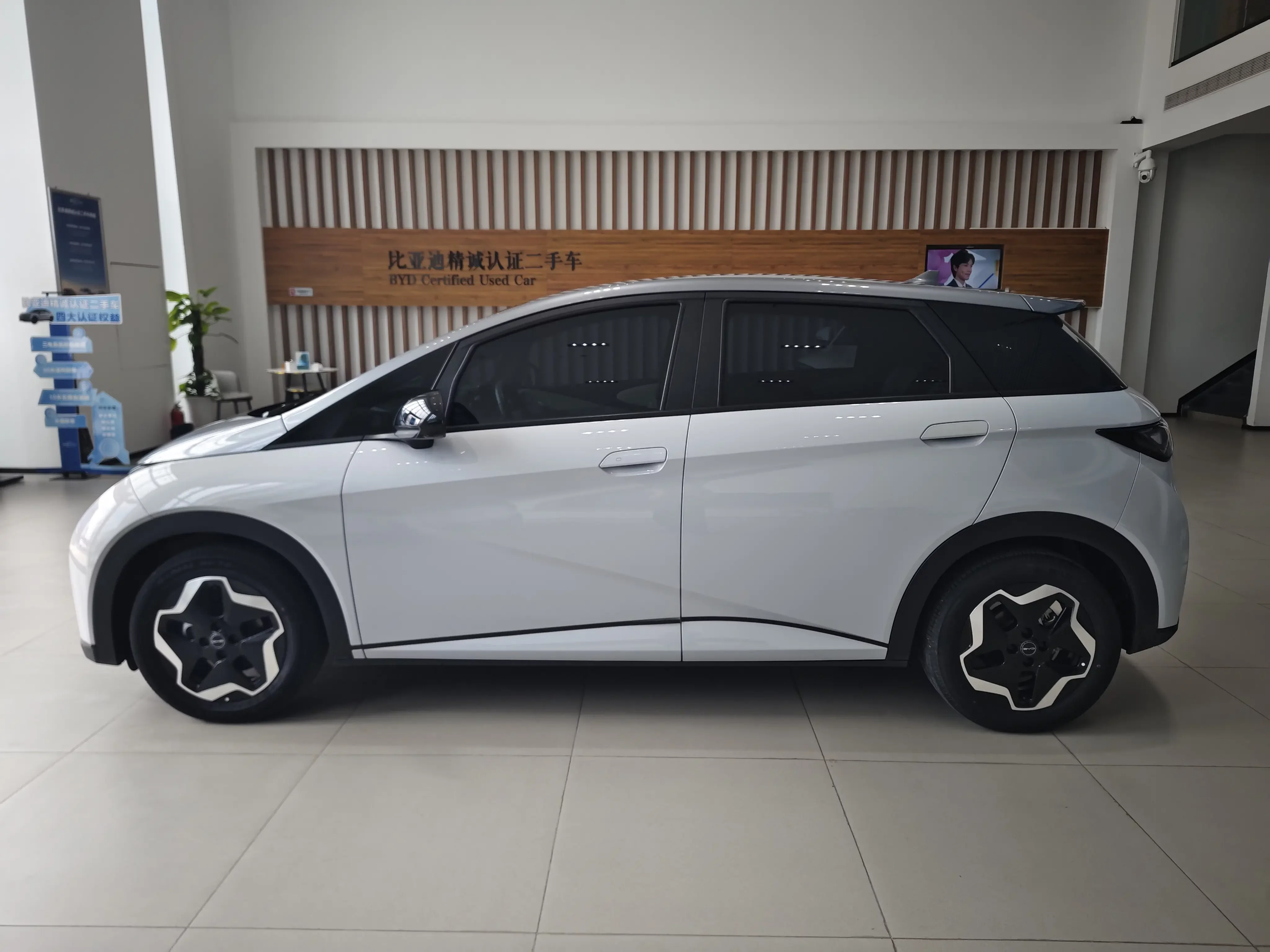 BYD dolphin