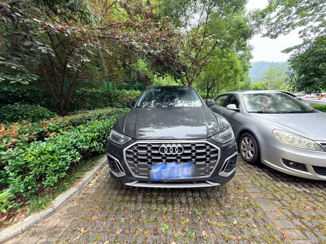 Audi Q5L