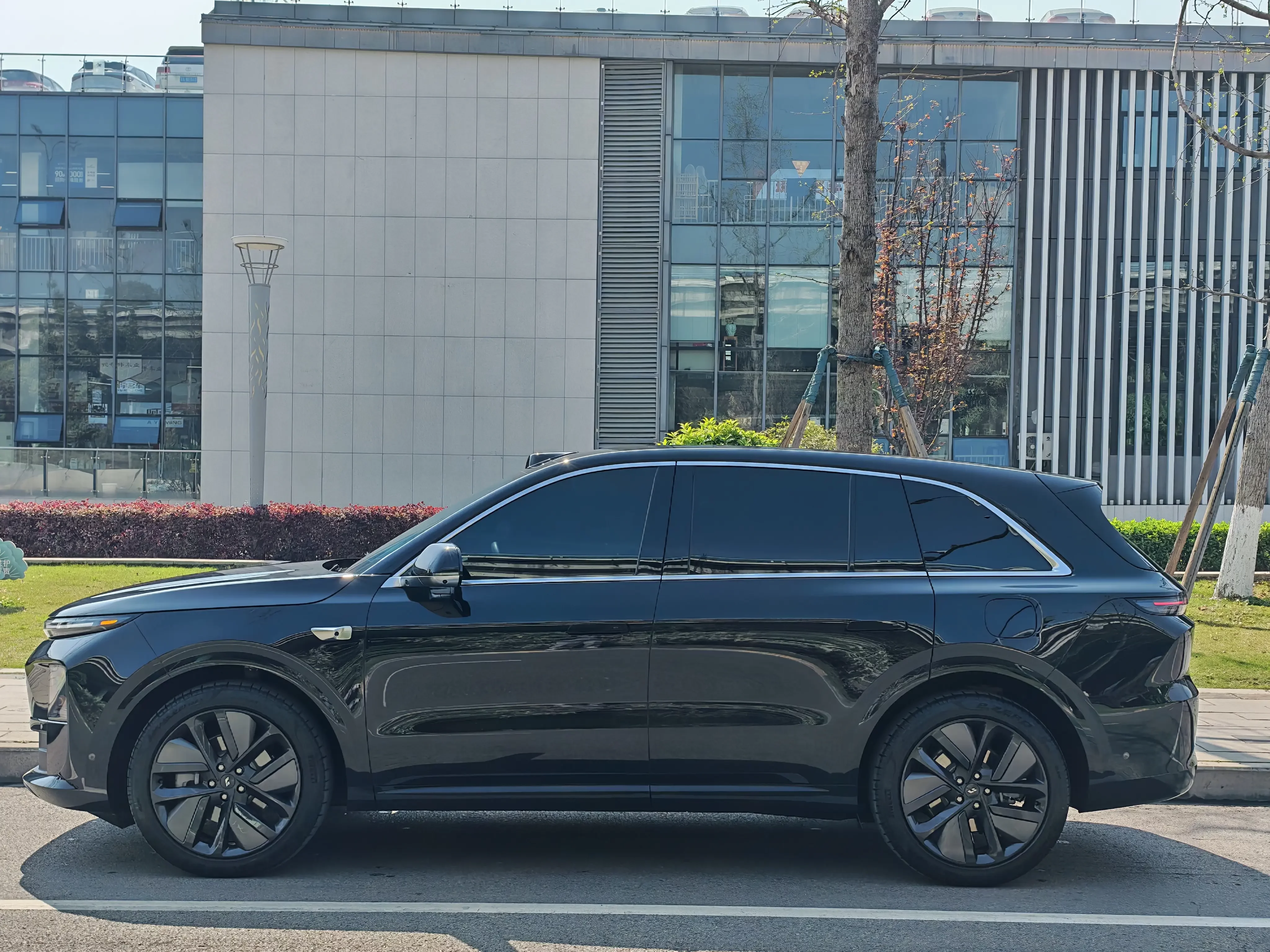 Lixiang L6