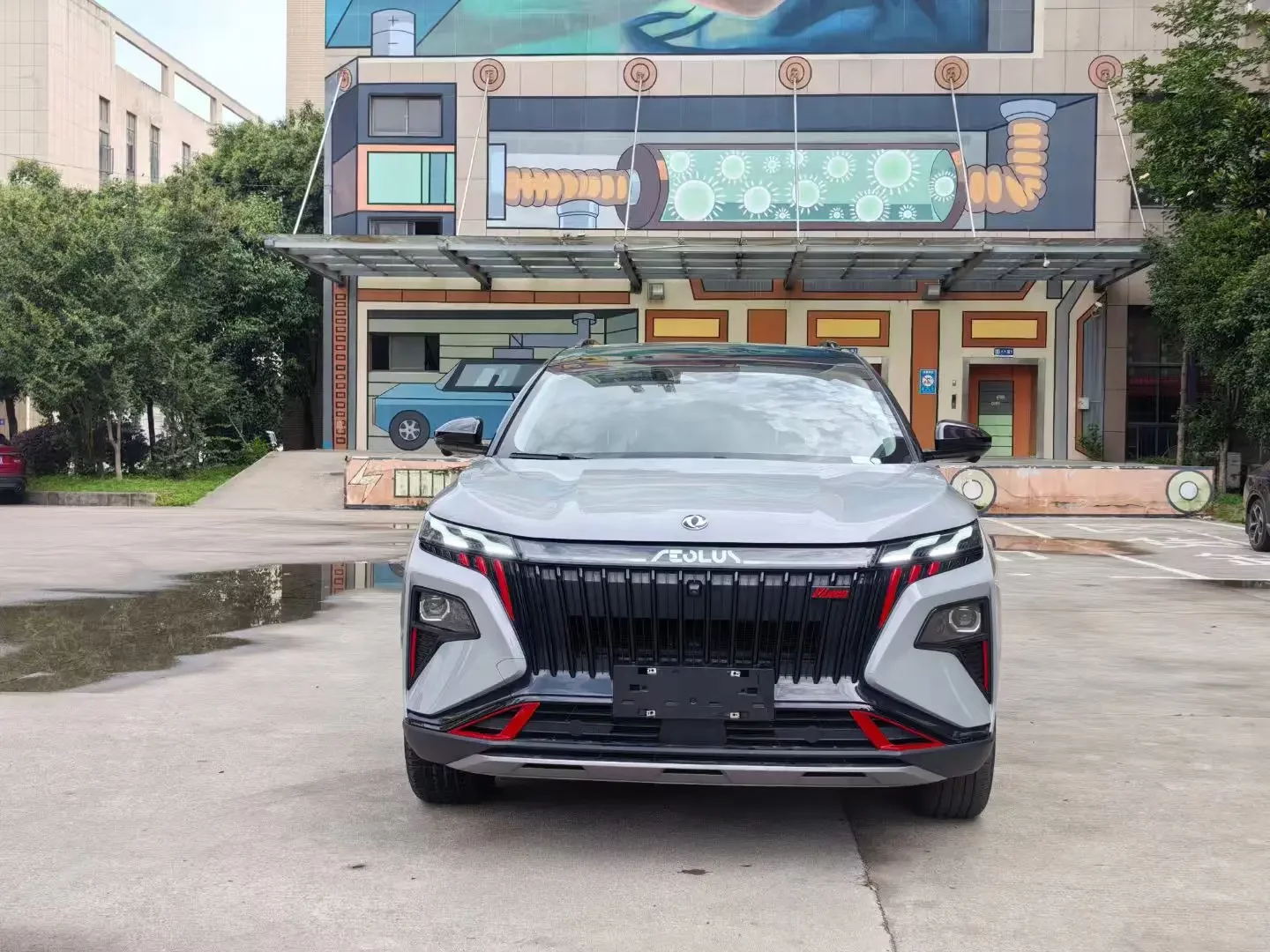 Dongfeng Haoji