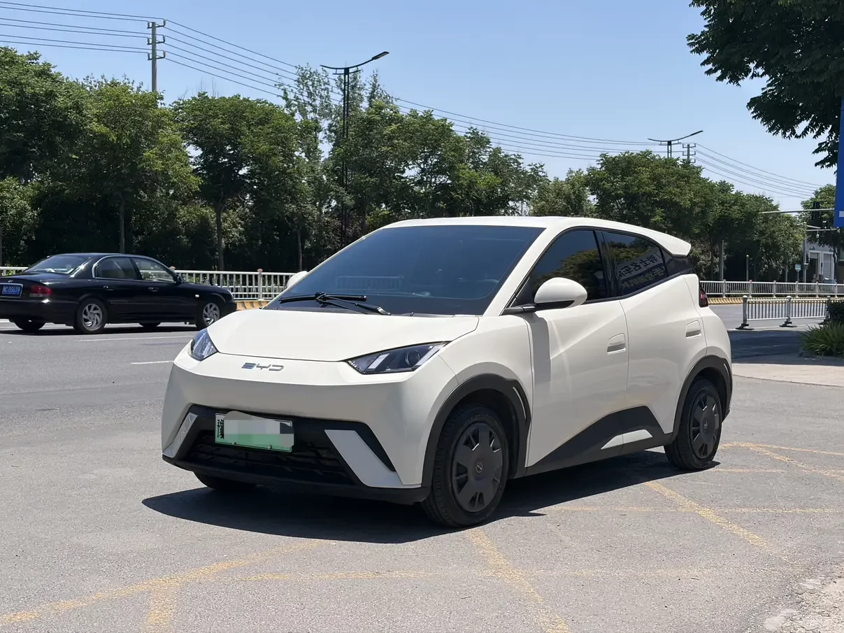 BYD seagull