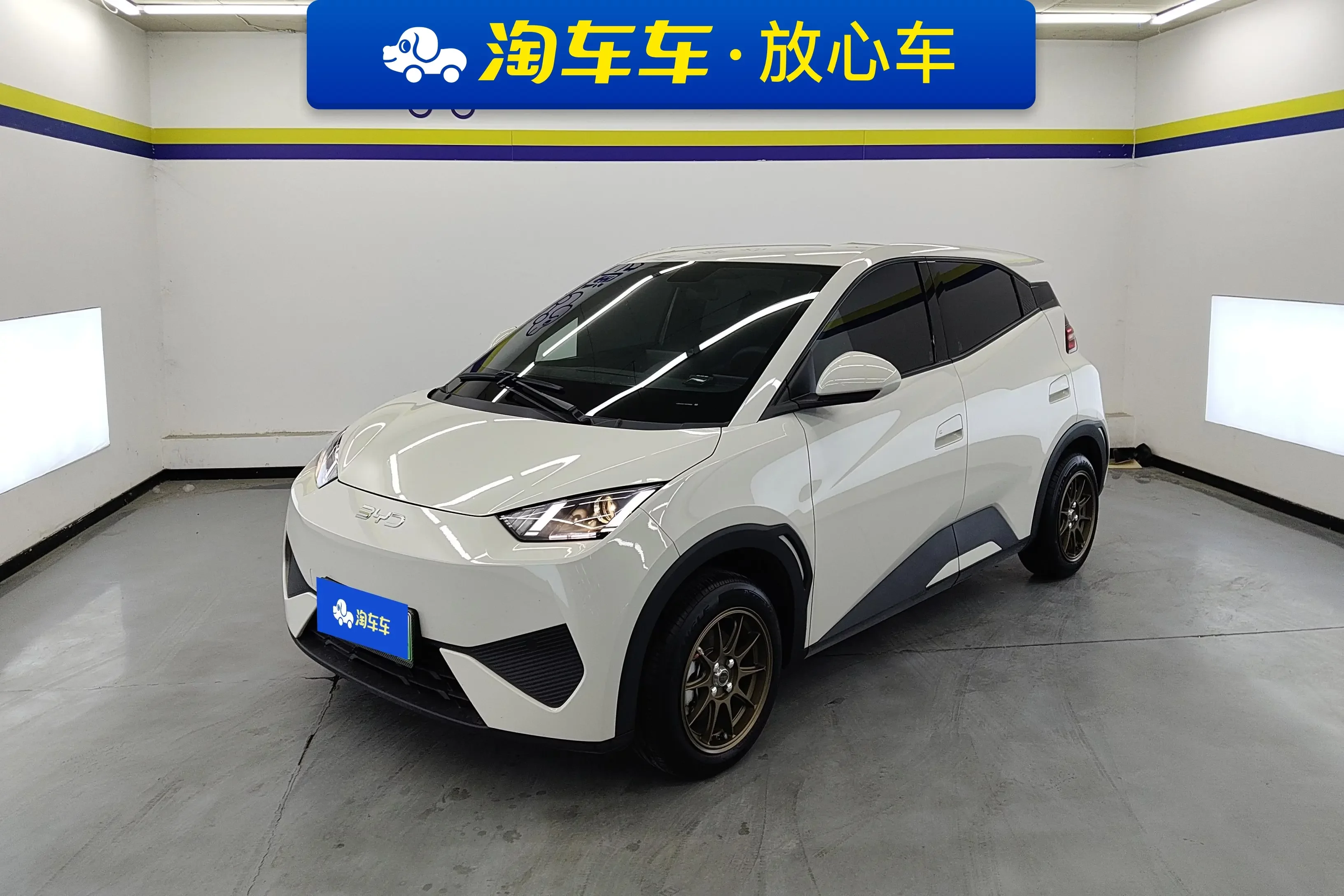 BYD seagull