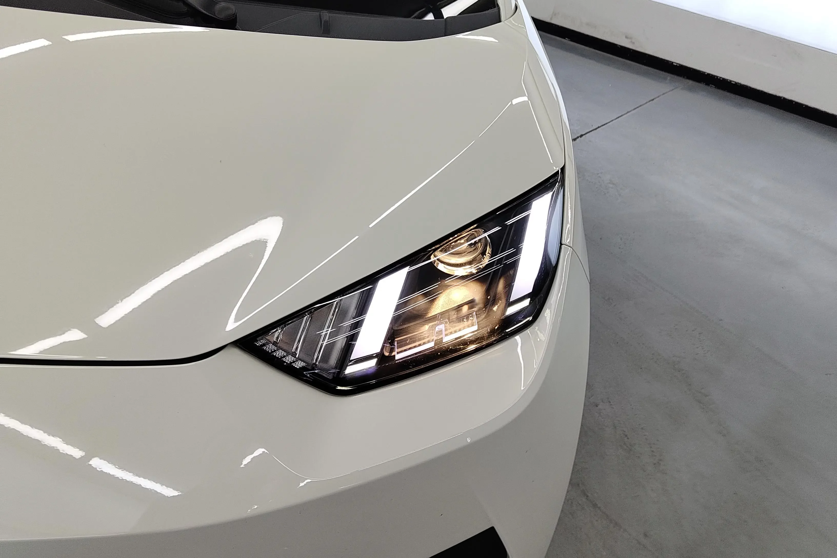 BYD seagull