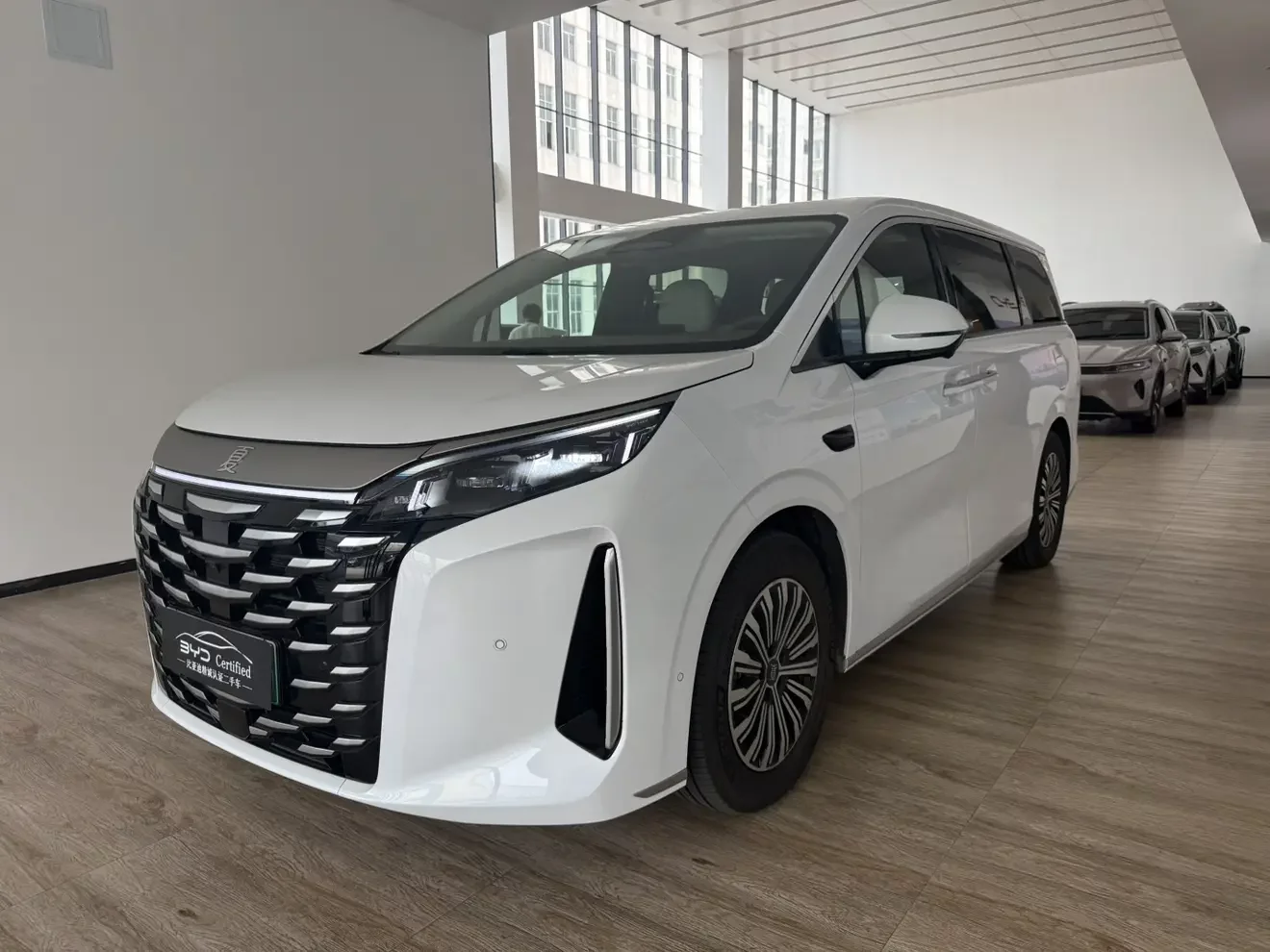 BYD summer