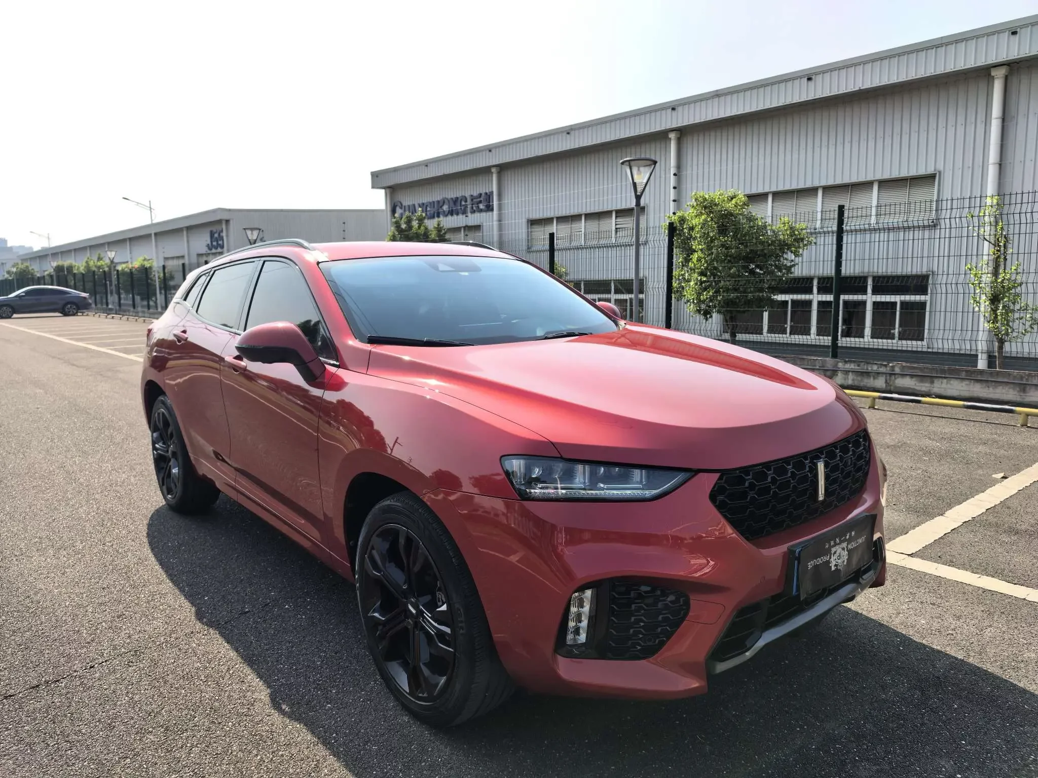 Wey Wei brand VV7
