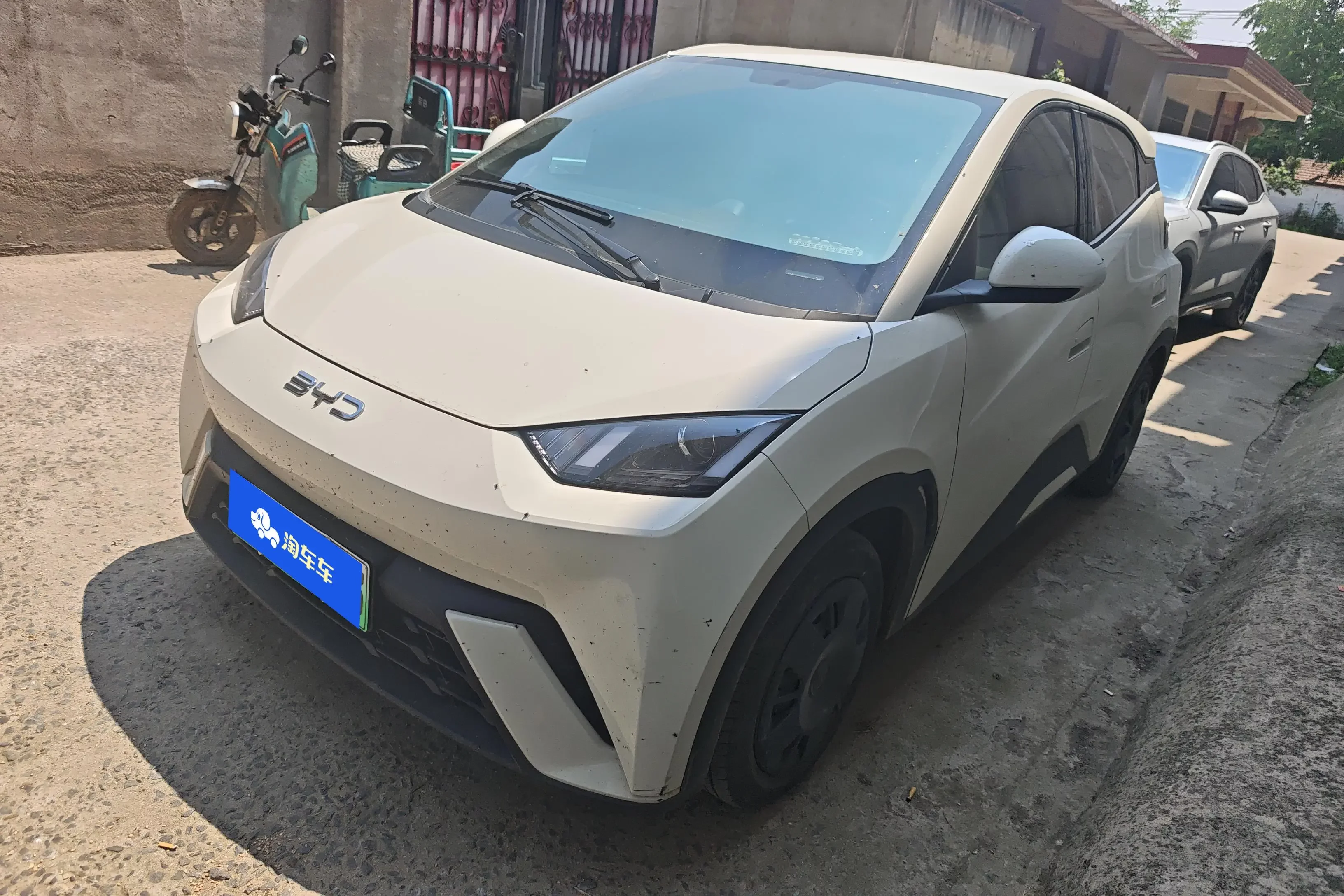 BYD seagull