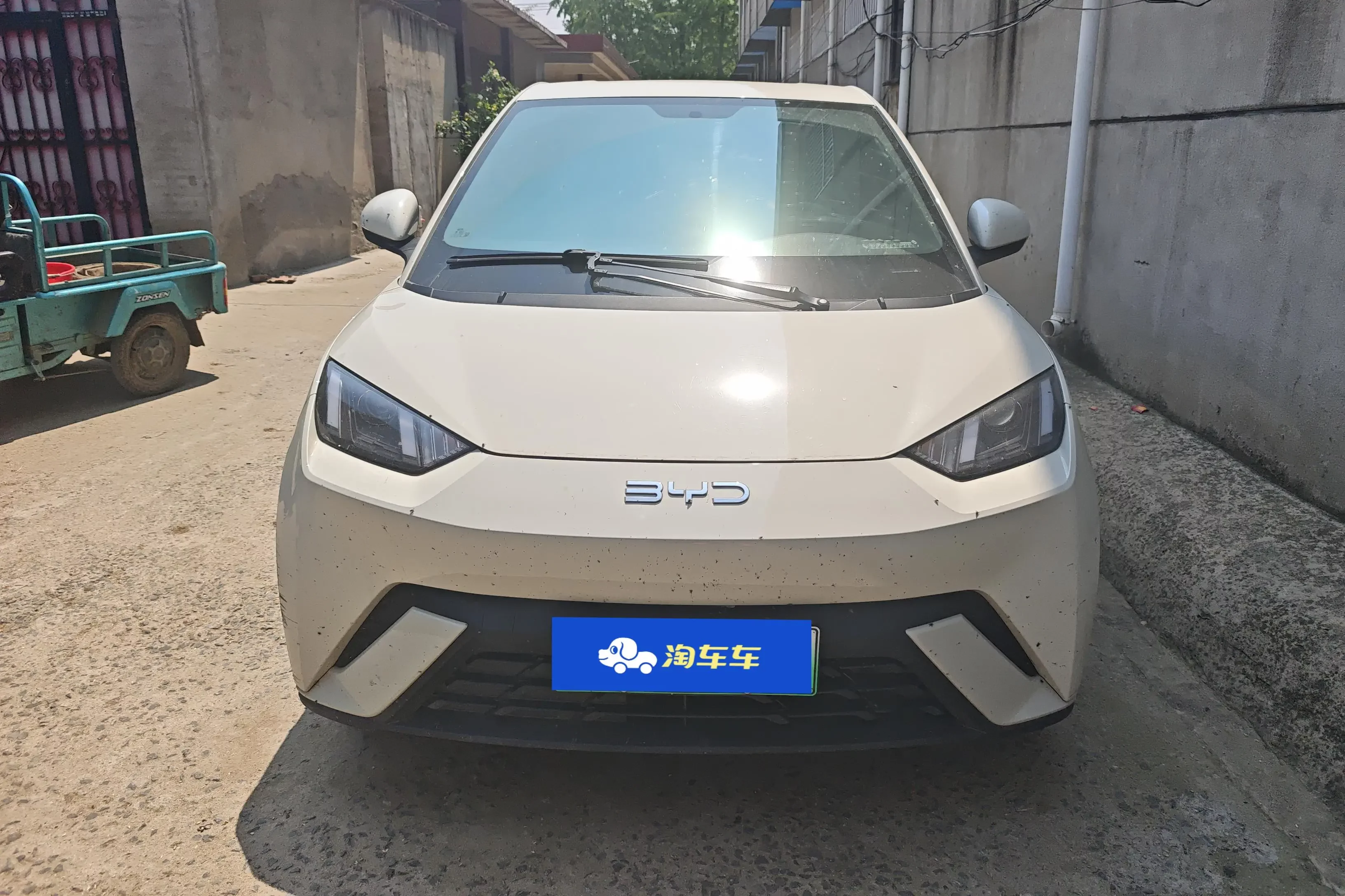 BYD seagull