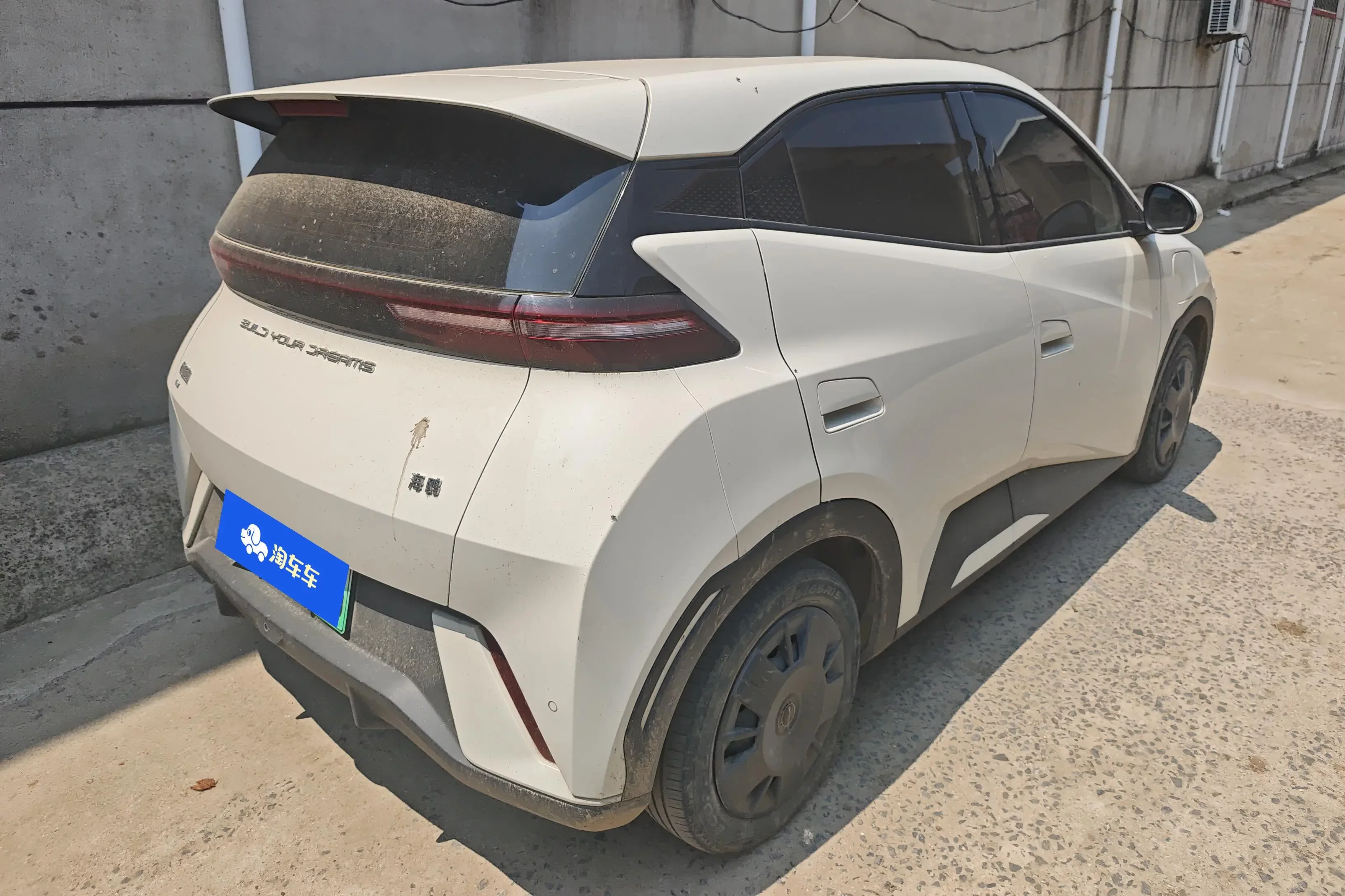 BYD seagull