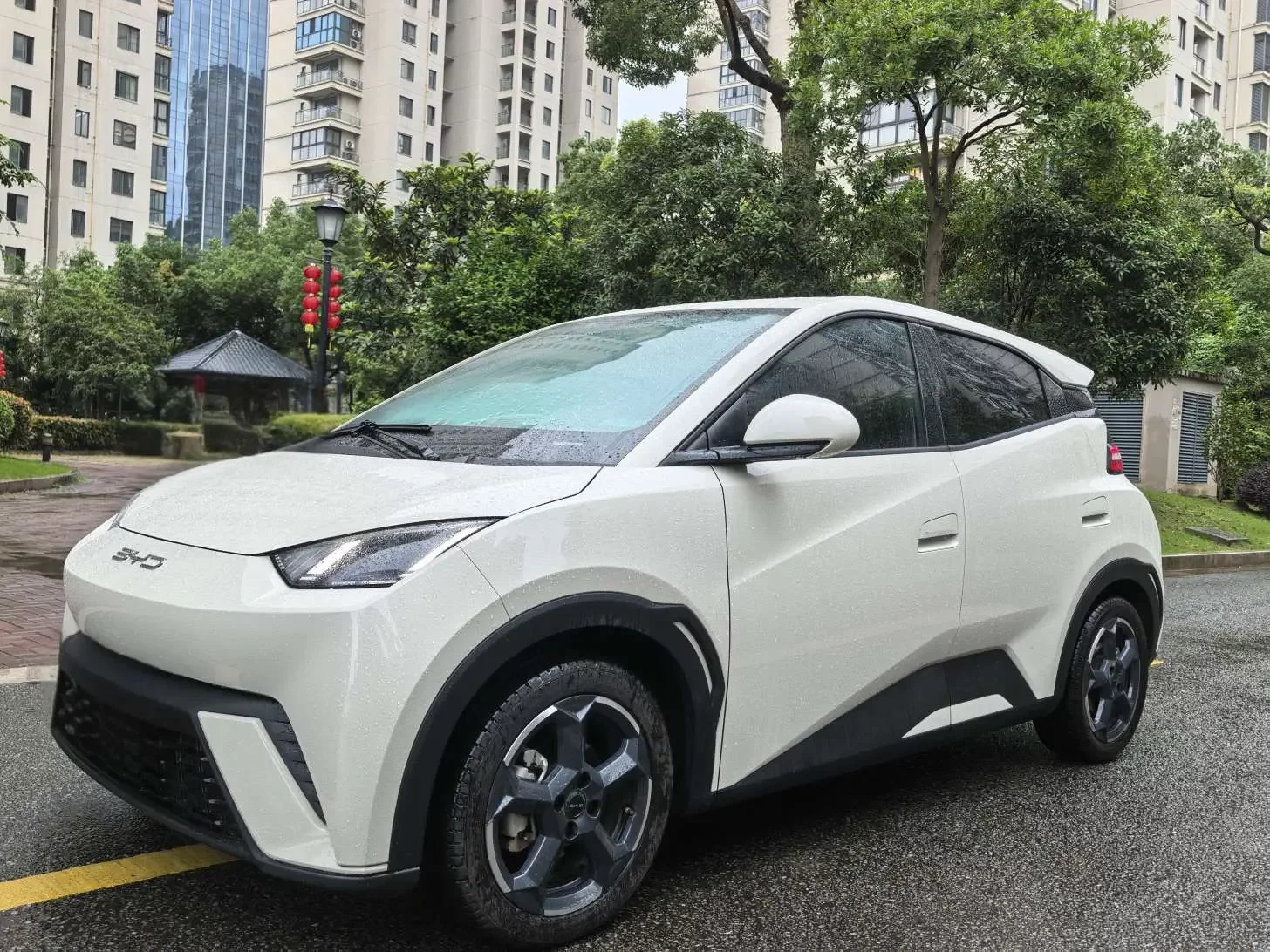 BYD seagull