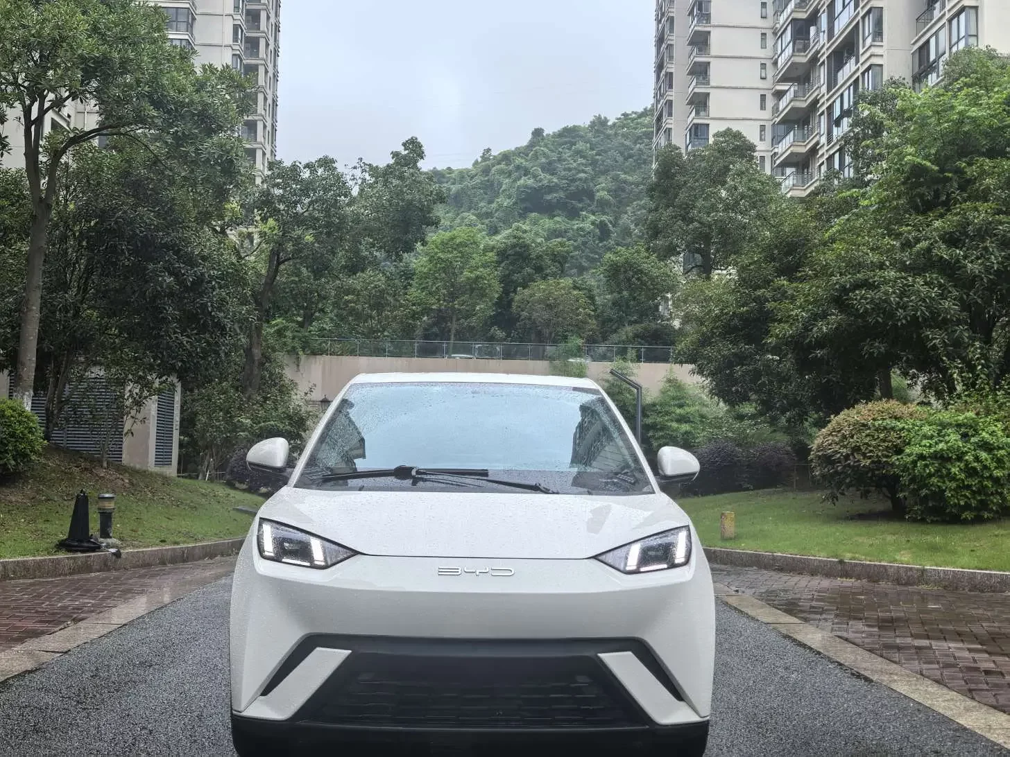 BYD seagull