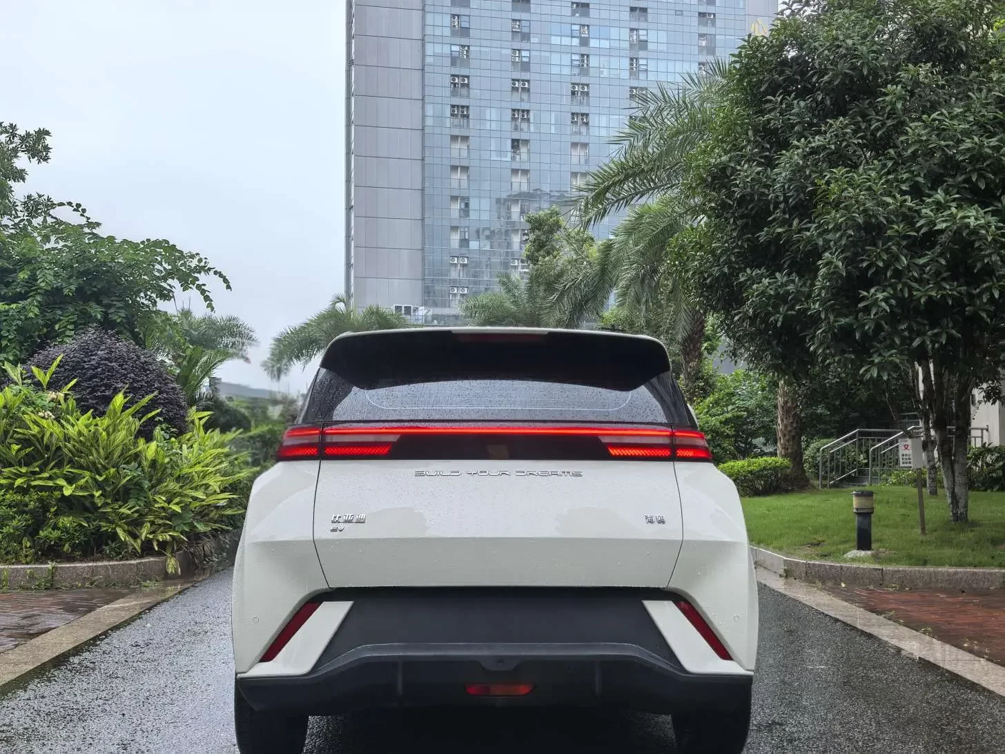 BYD seagull