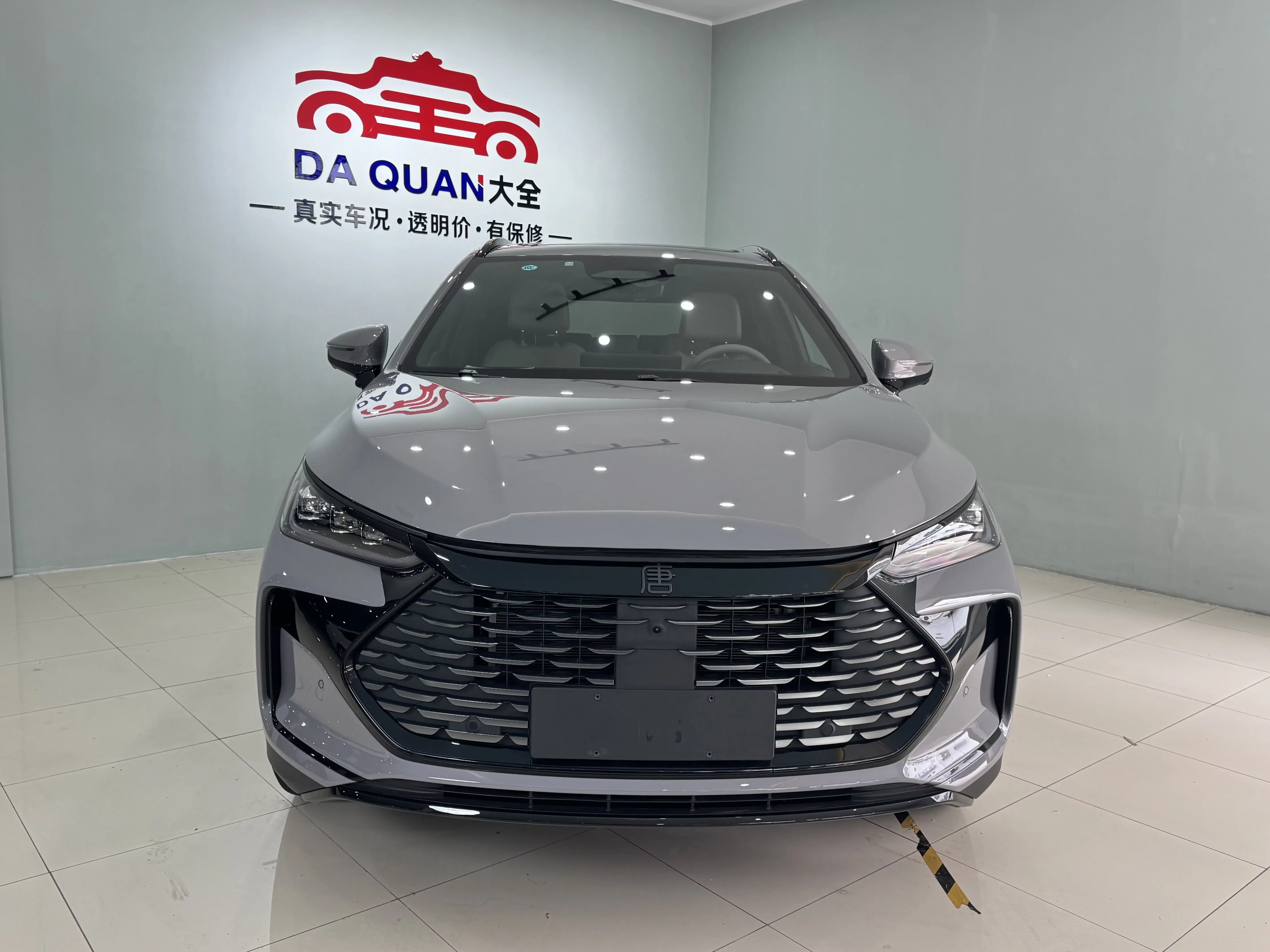 BYD Tang DM