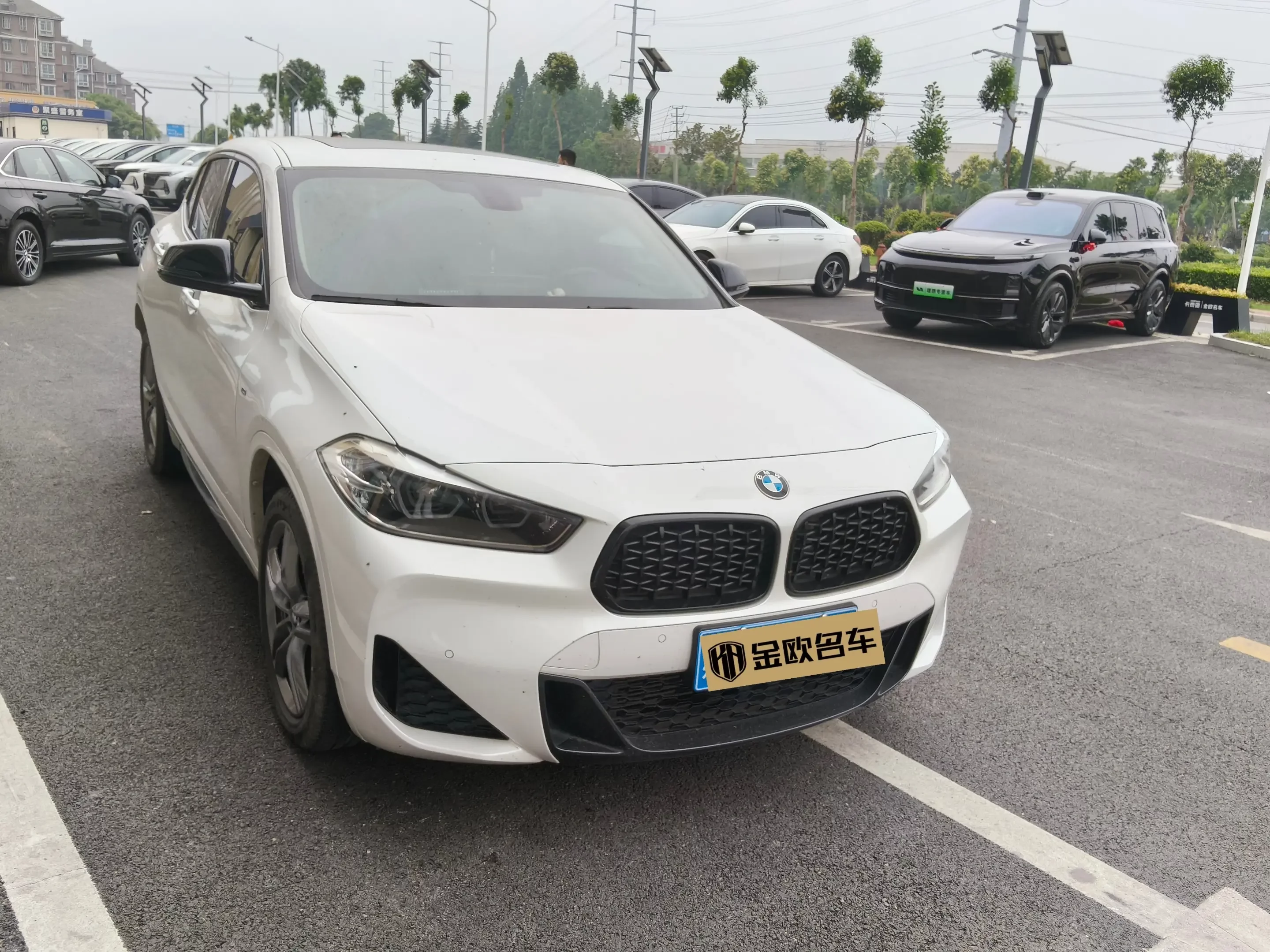 BMW X2