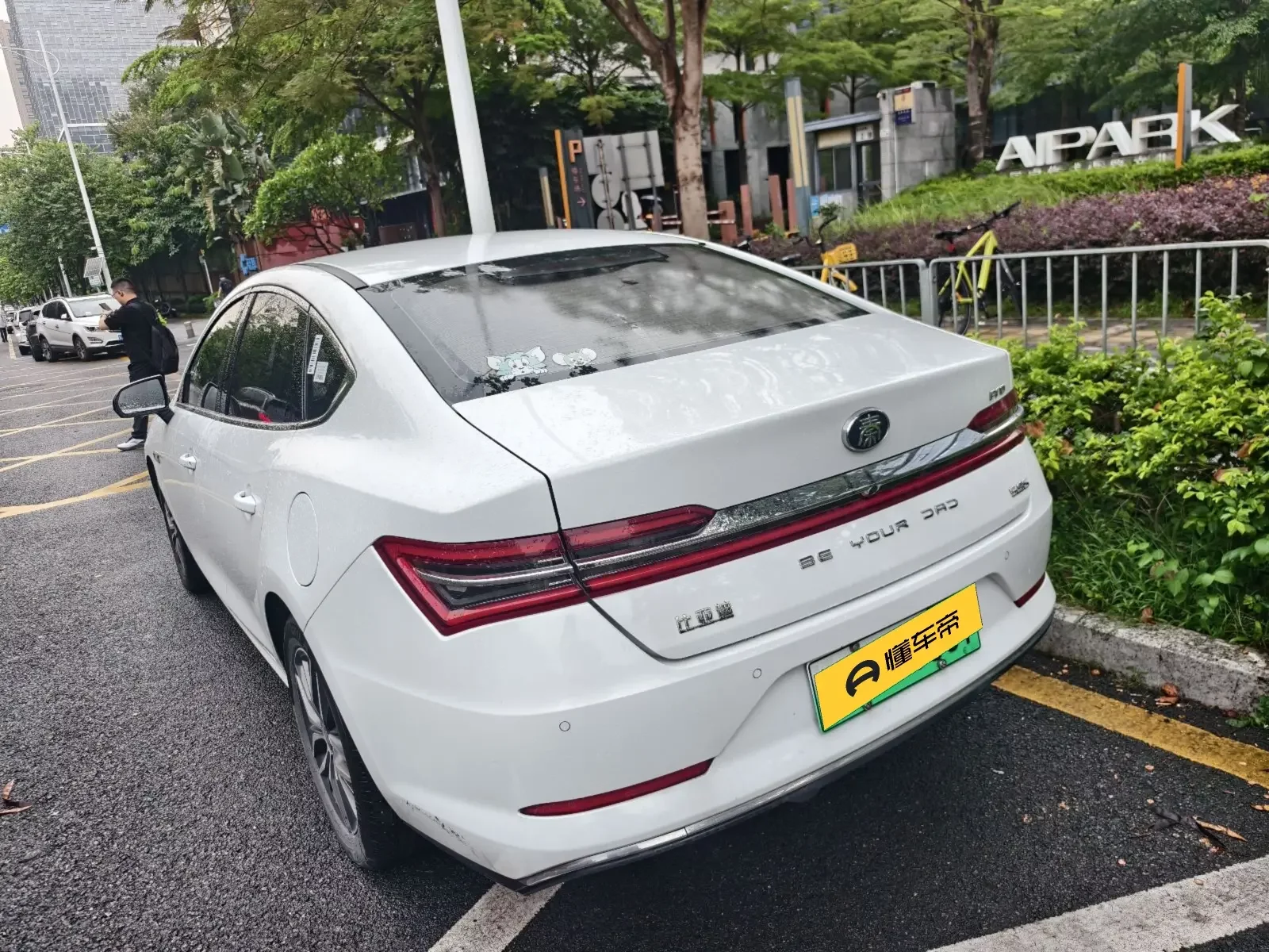 BYD Qin Pro DM