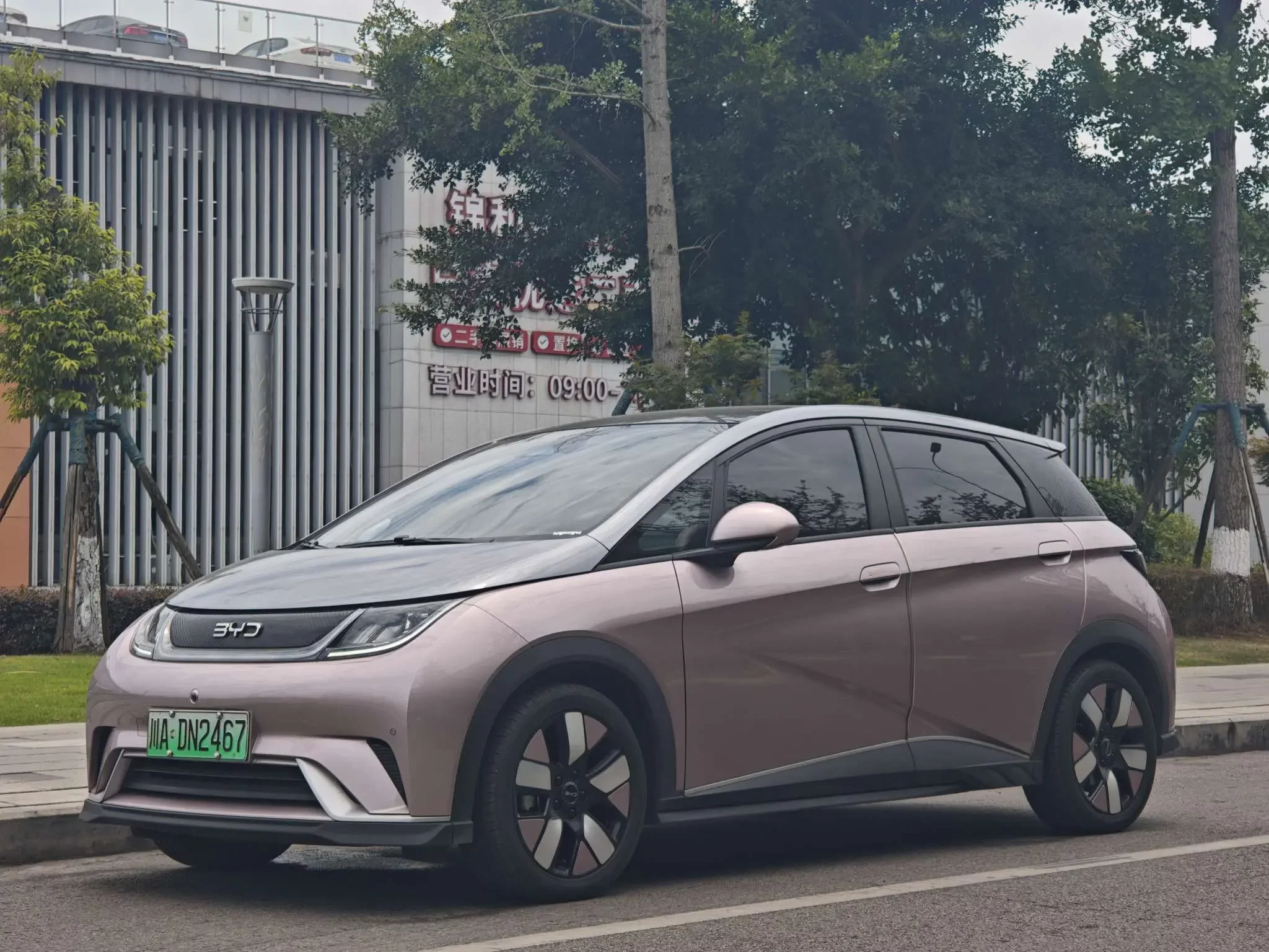 BYD dolphin