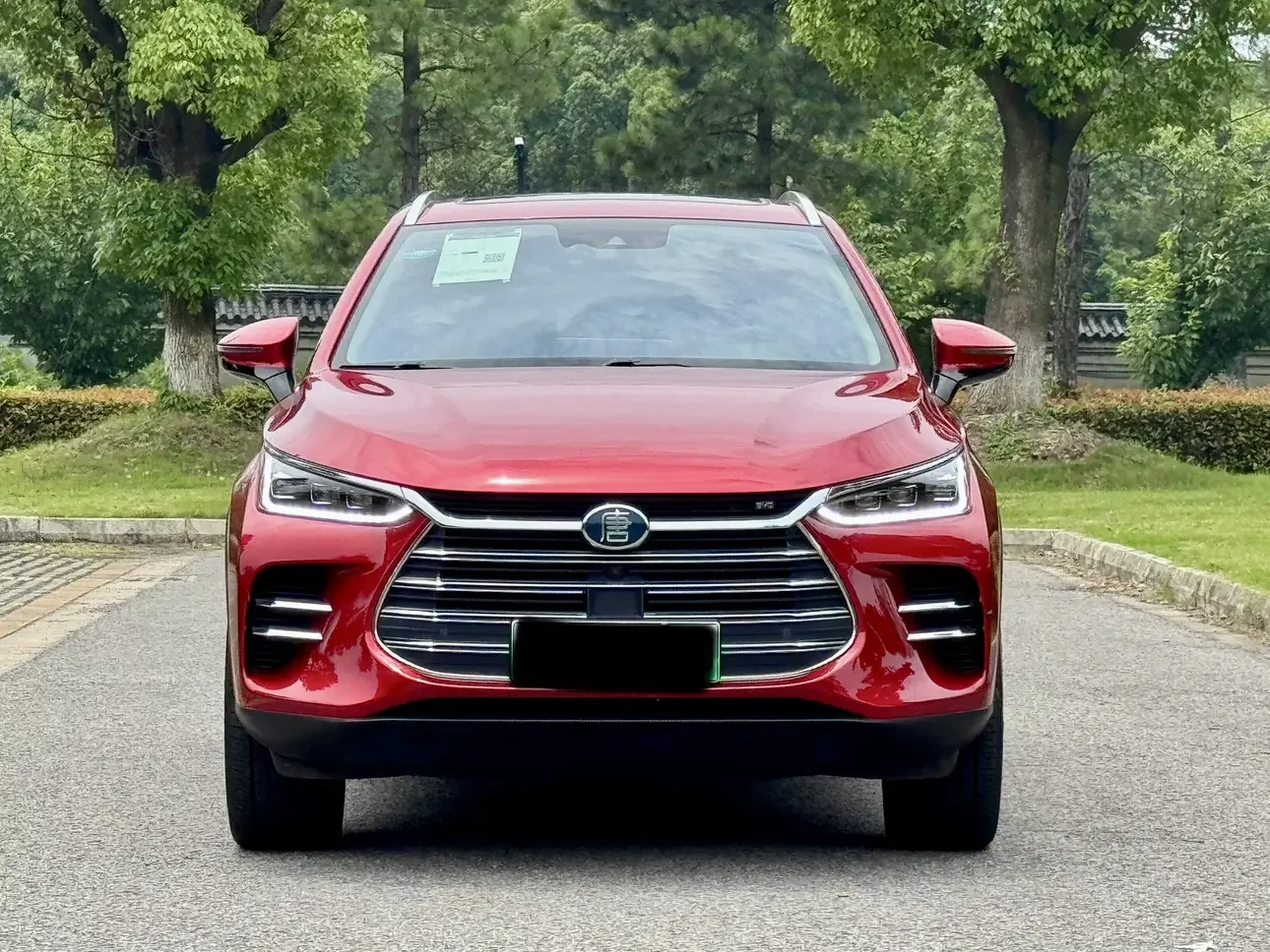 BYD Tang DM
