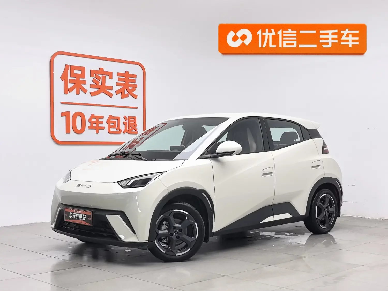 BYD seagull