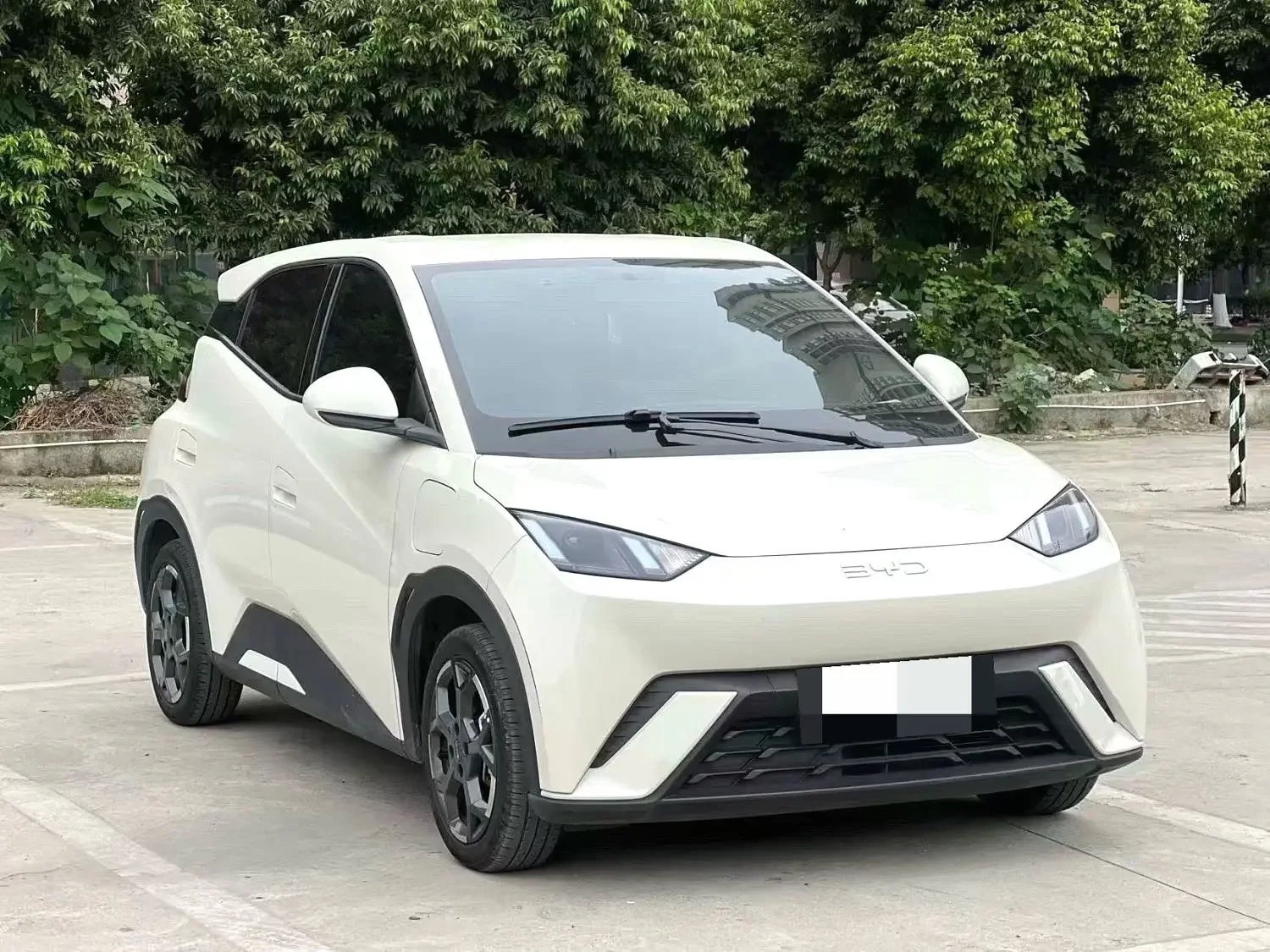 BYD seagull