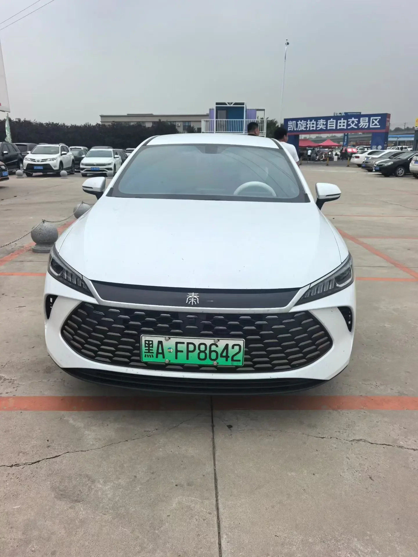 BYD Qin PLUS DM