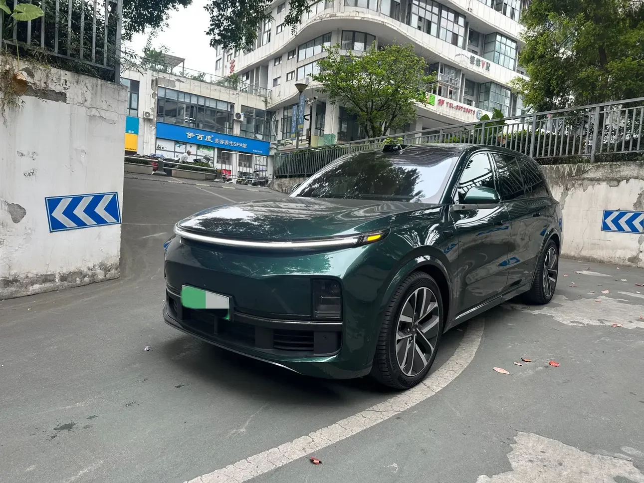 Lixiang L9
