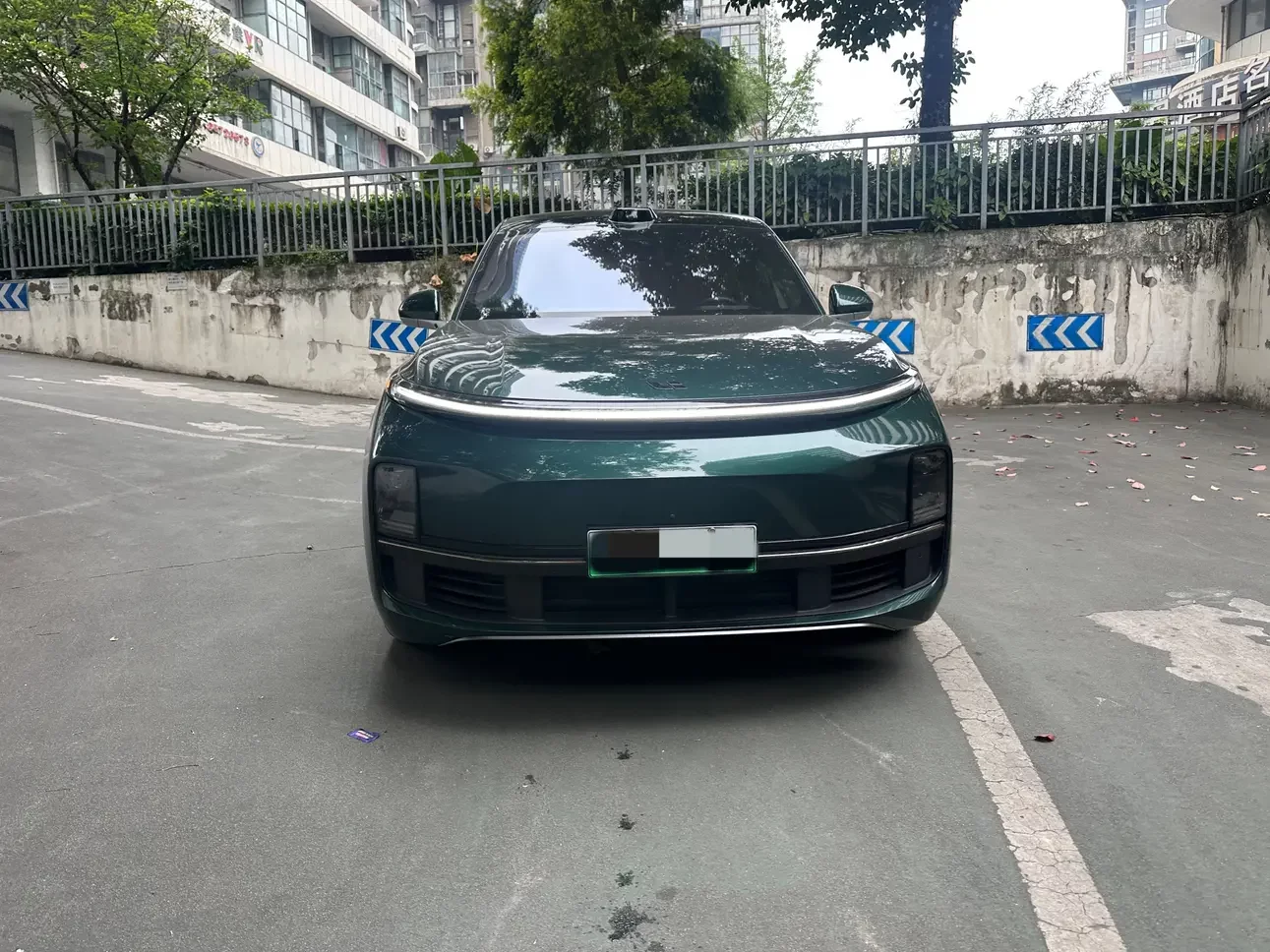 Lixiang L9