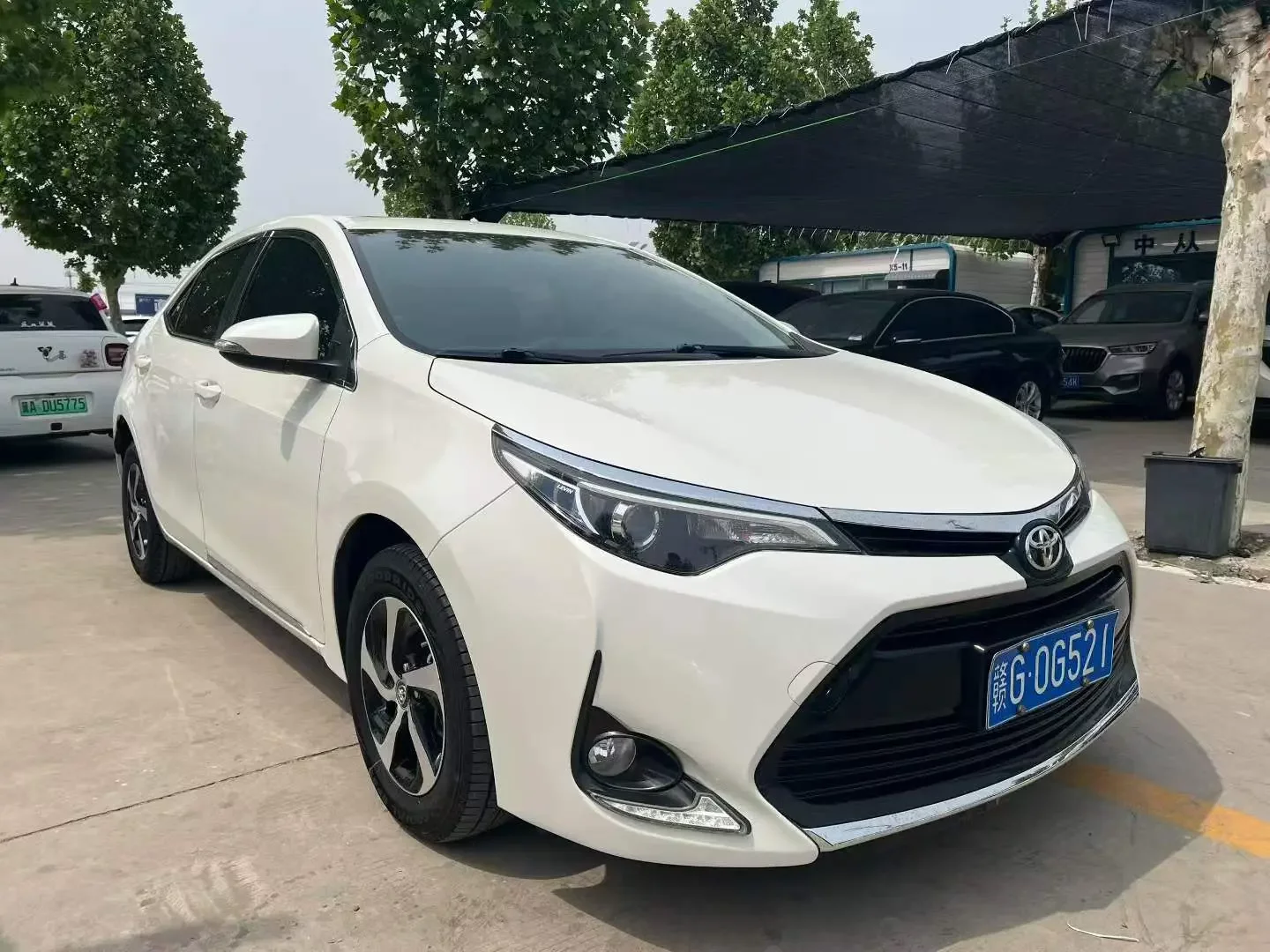 Toyota Levin