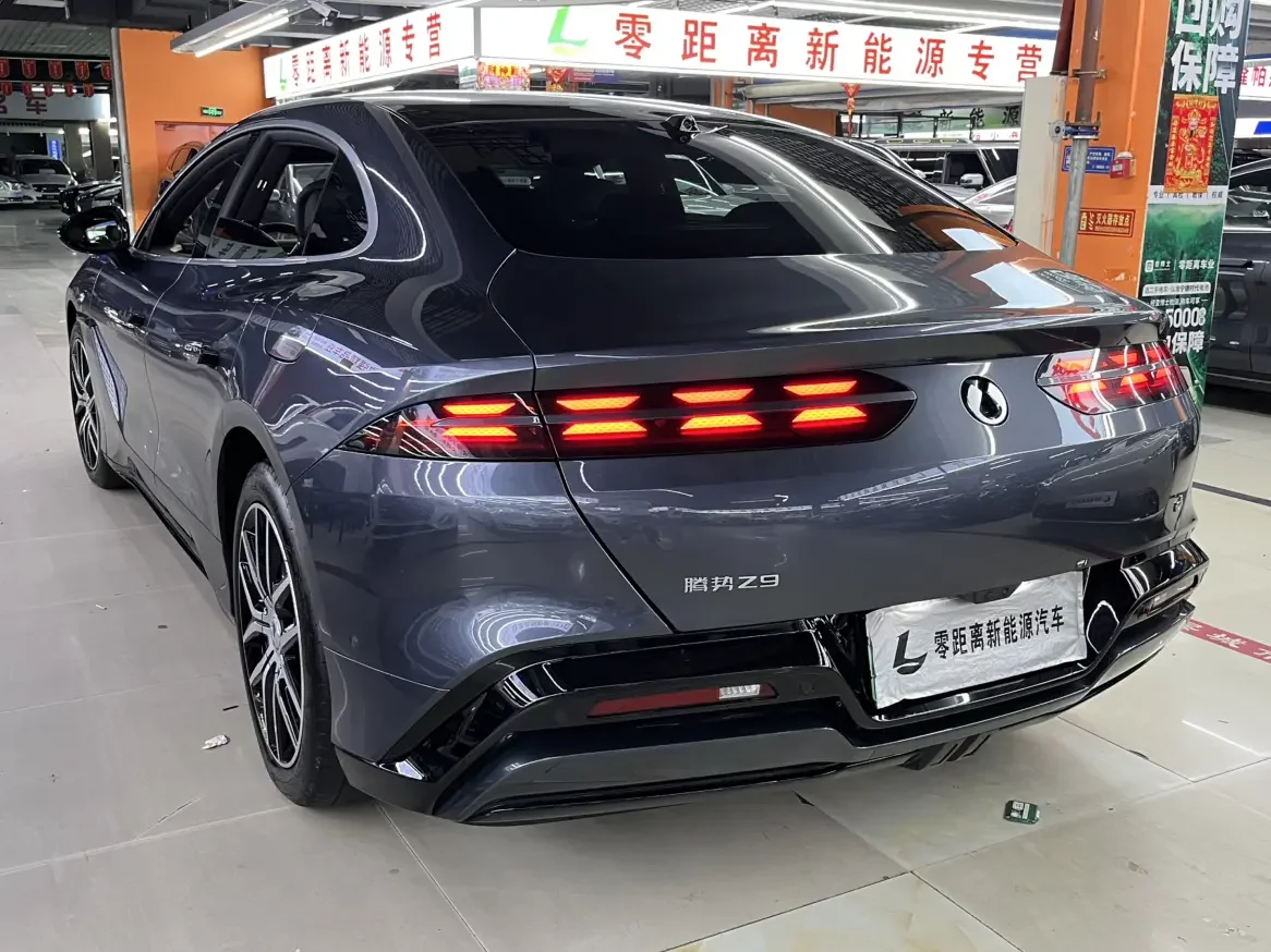 Denza Tengzhong Z9 DM