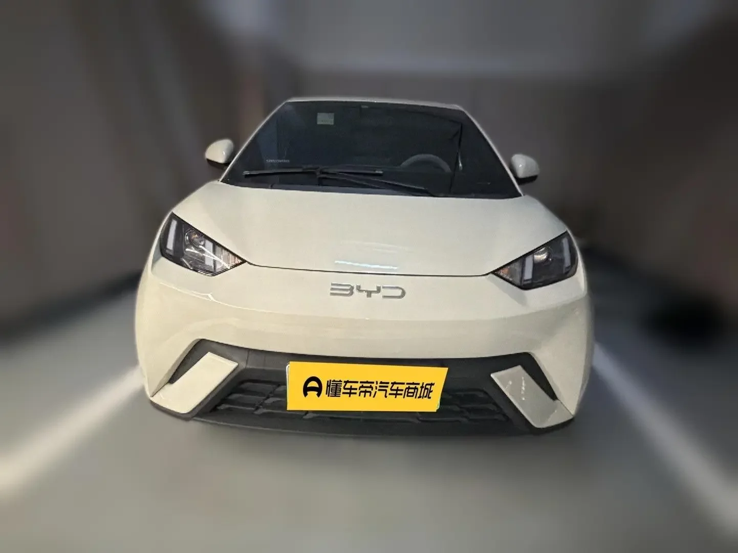 BYD seagull