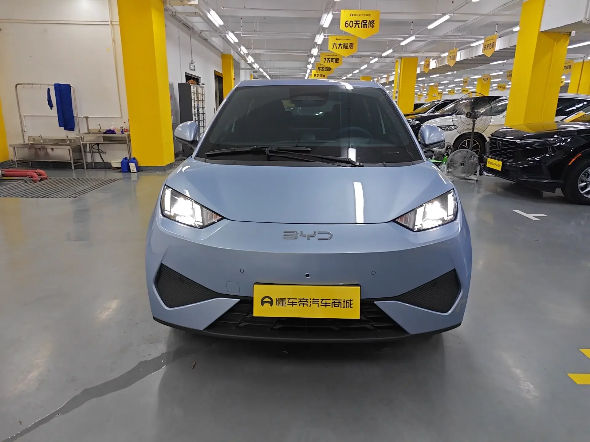 BYD seagull