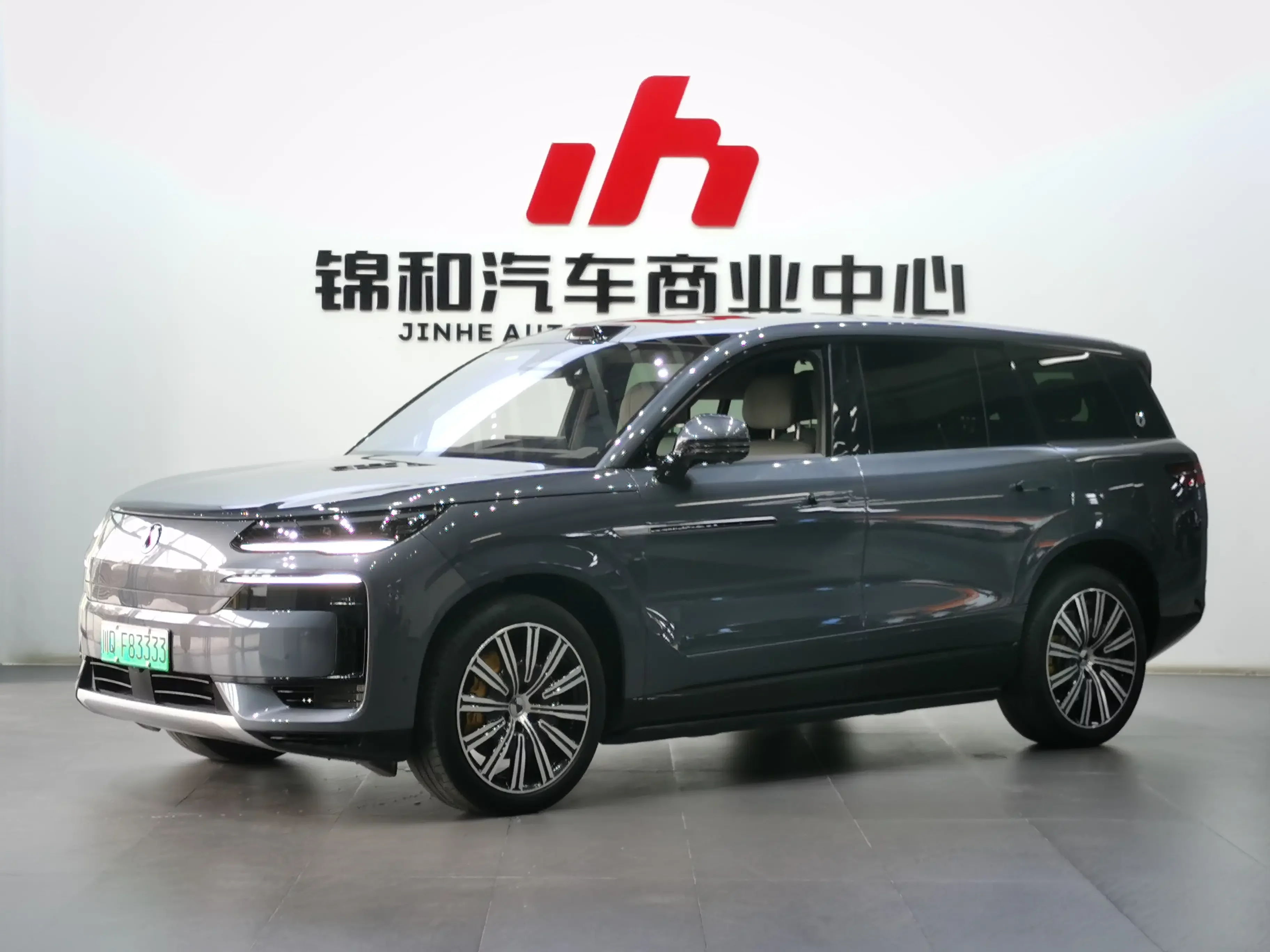 Denza Tengzhong N9 DM