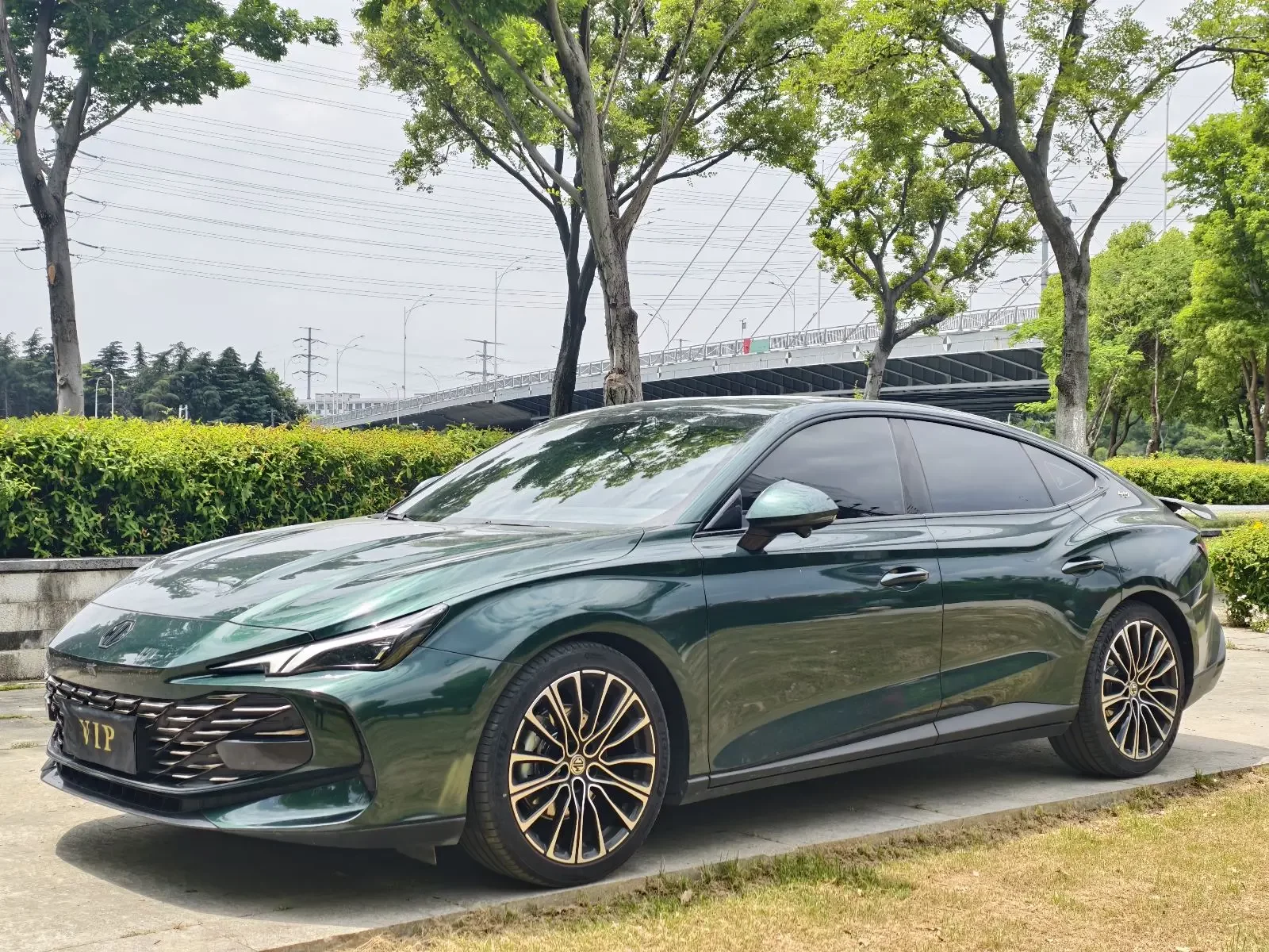 MG 7