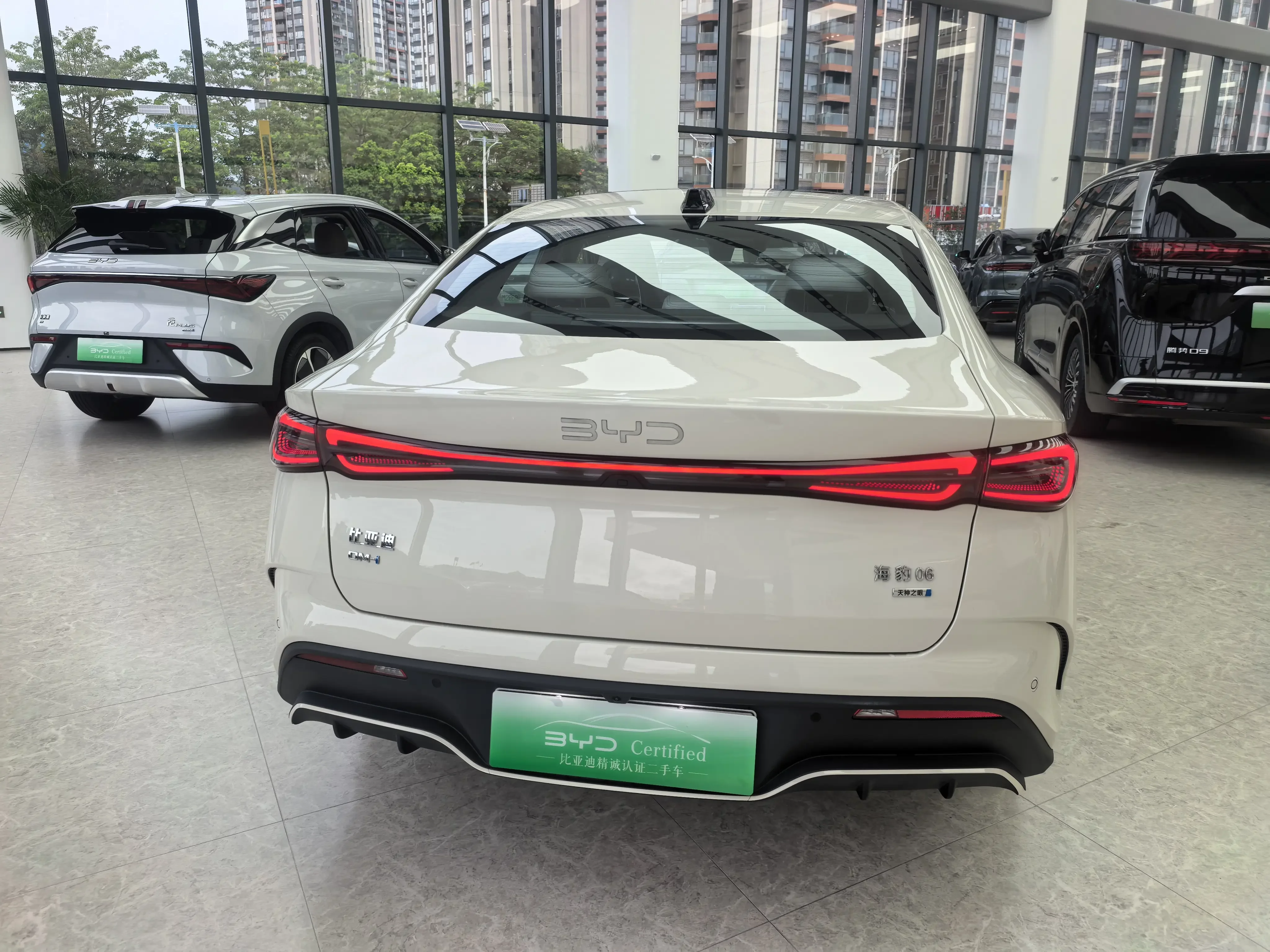 BYD Seal 06DM