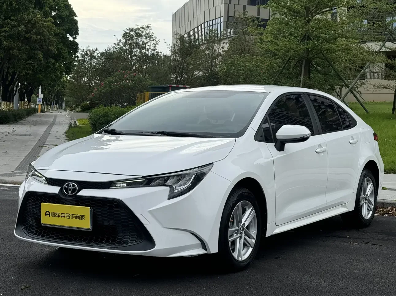 Toyota Levin