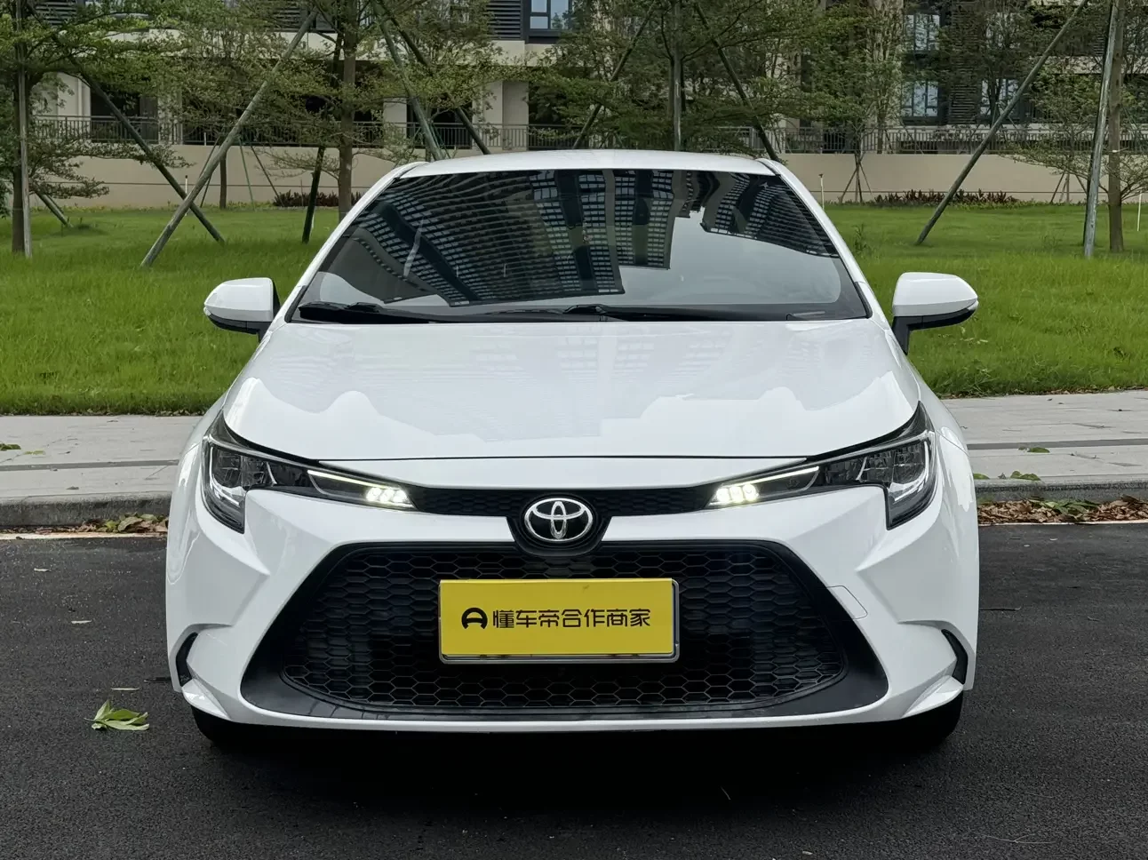 Toyota Levin