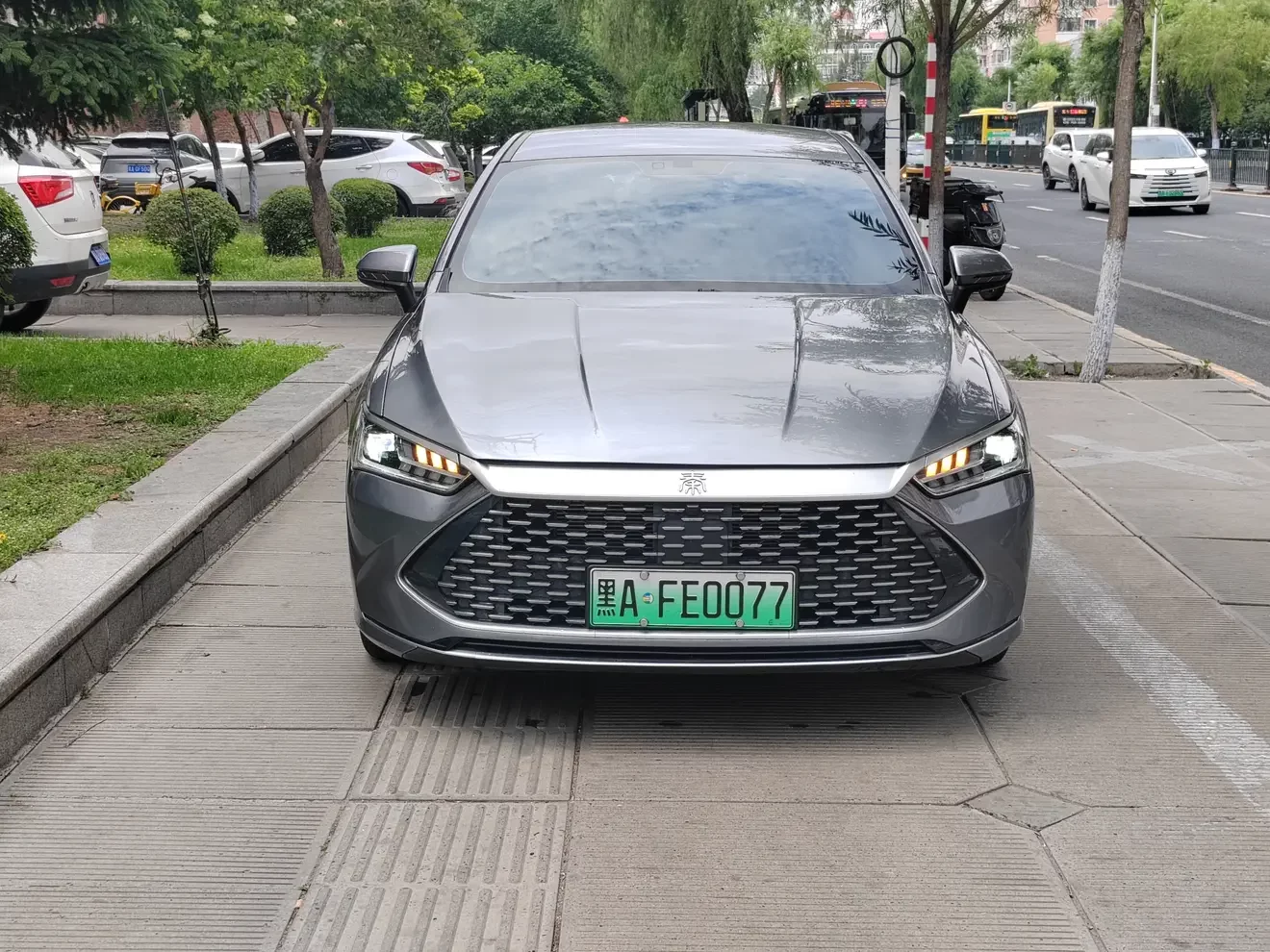 BYD Qin PLUS DM