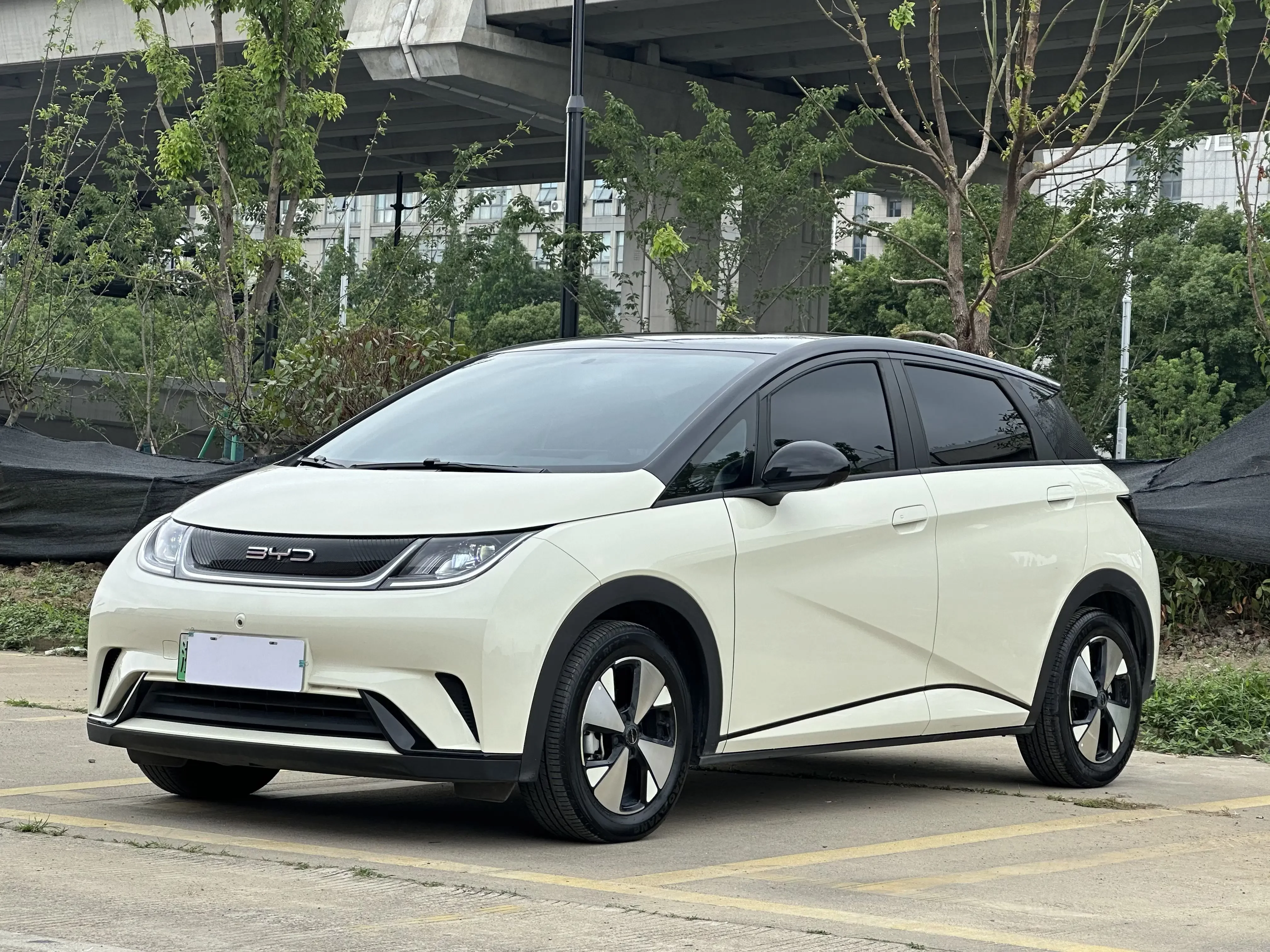 BYD dolphin