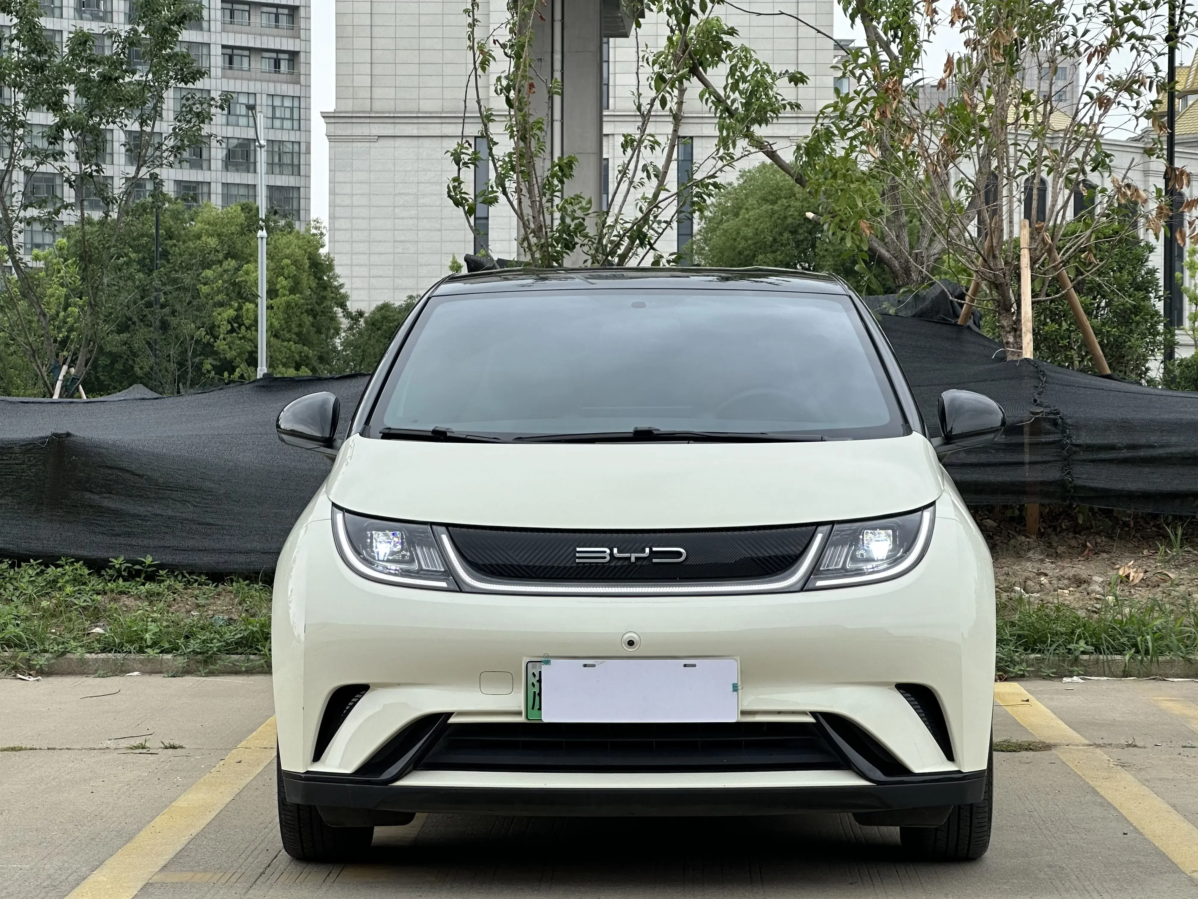 BYD dolphin