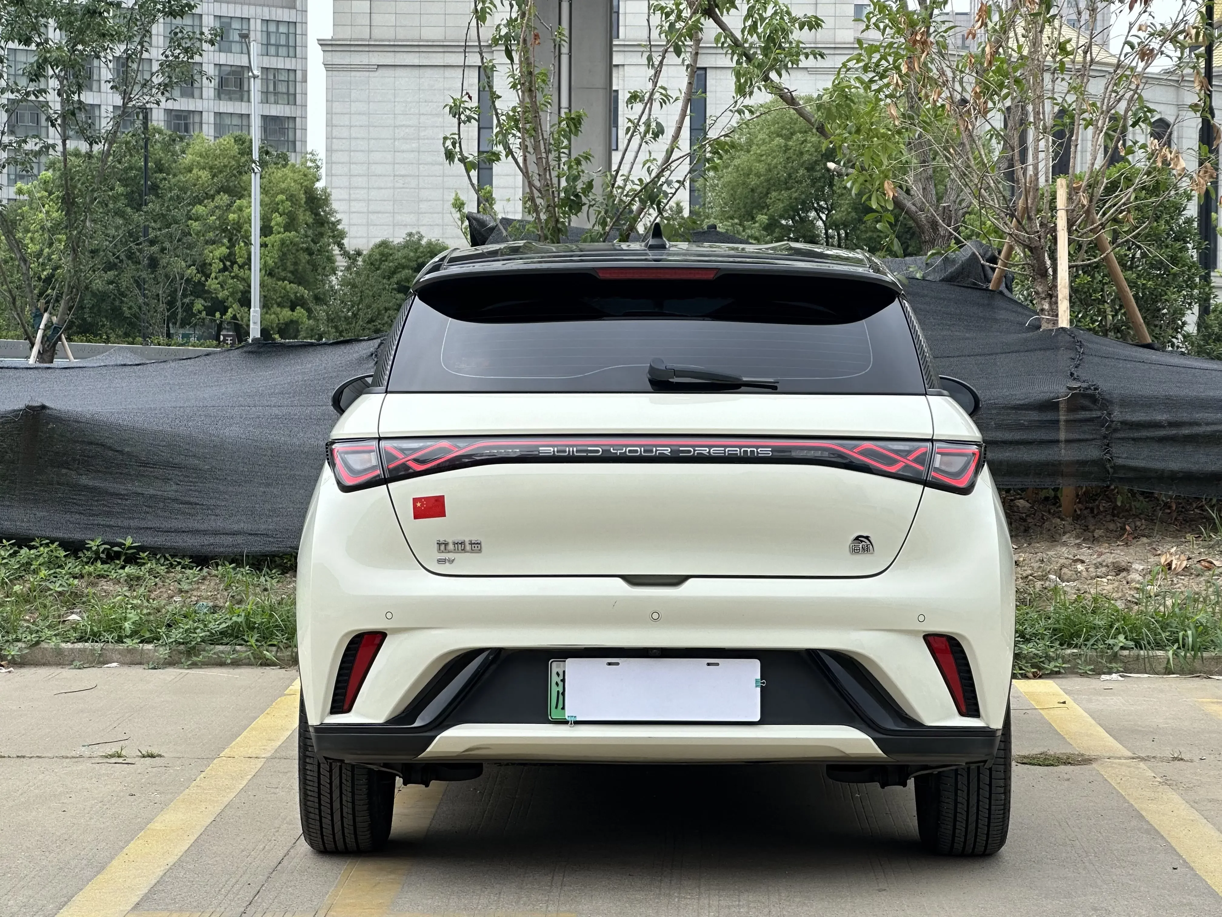 BYD dolphin