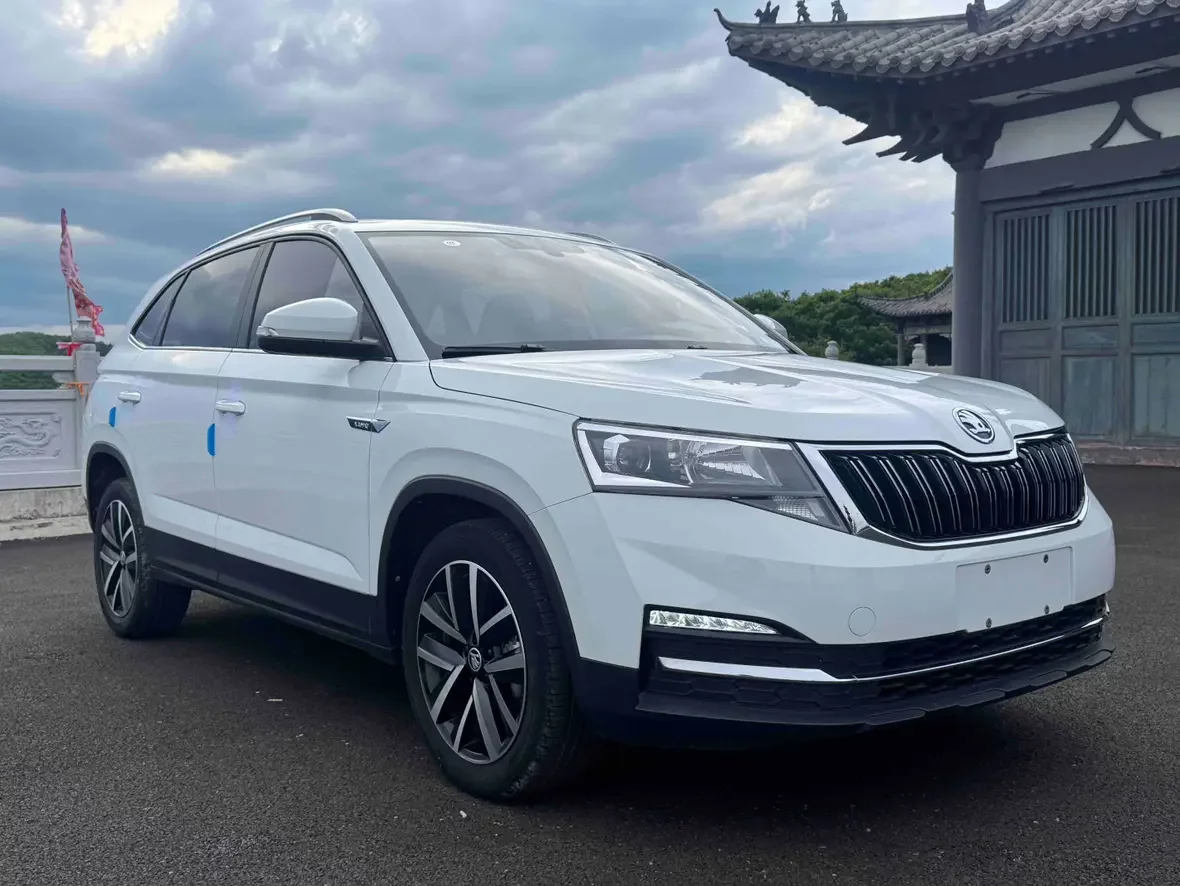 Skoda Comek