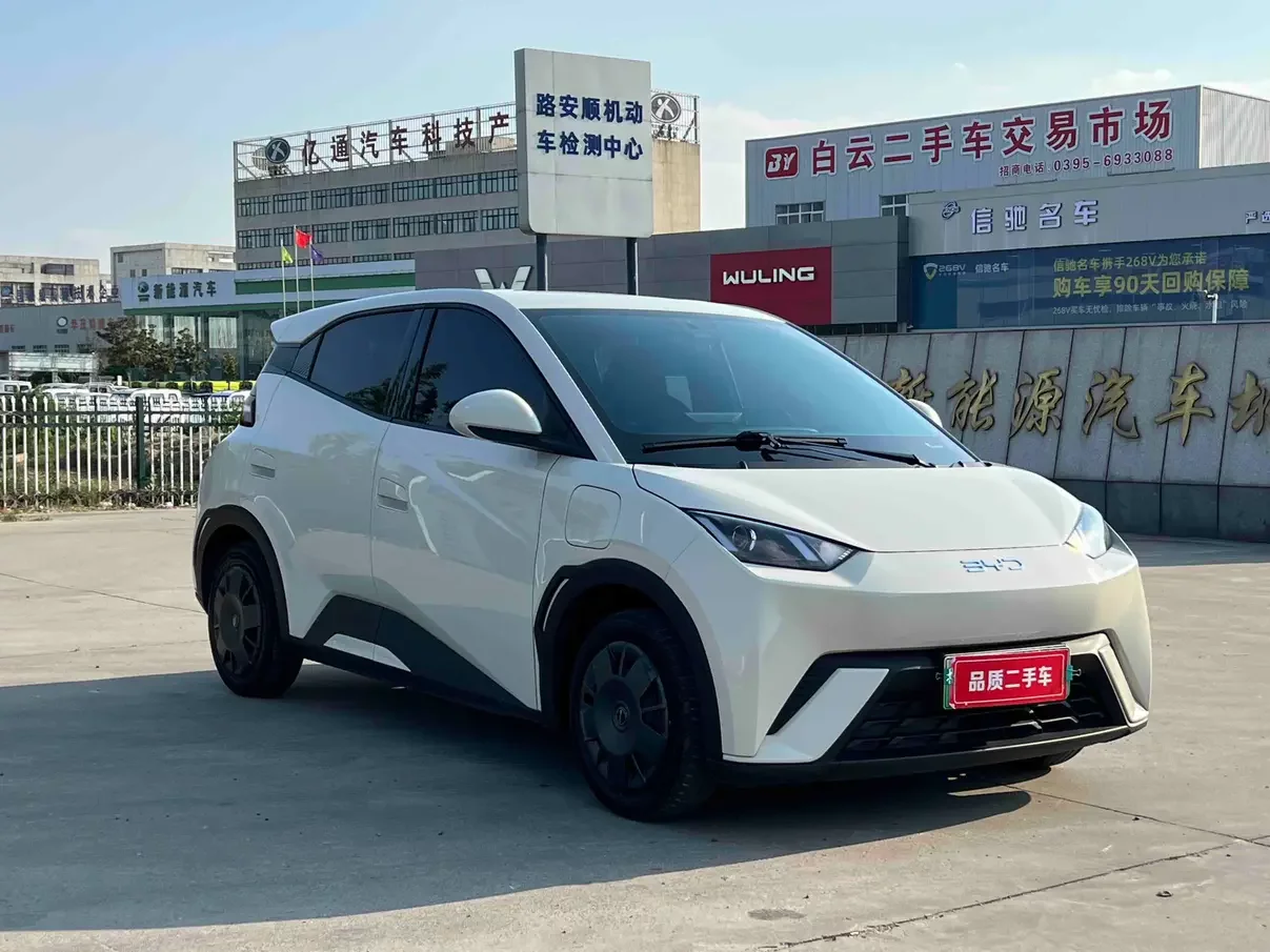 BYD seagull